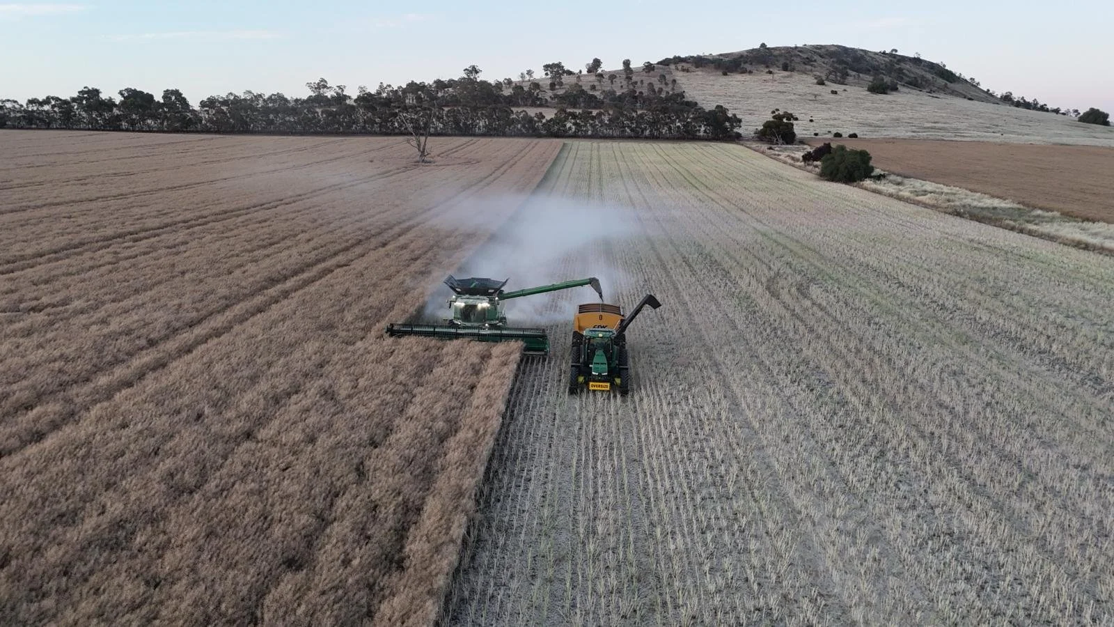 PHOTO-2026-03-03-08-43-45 2.jpg