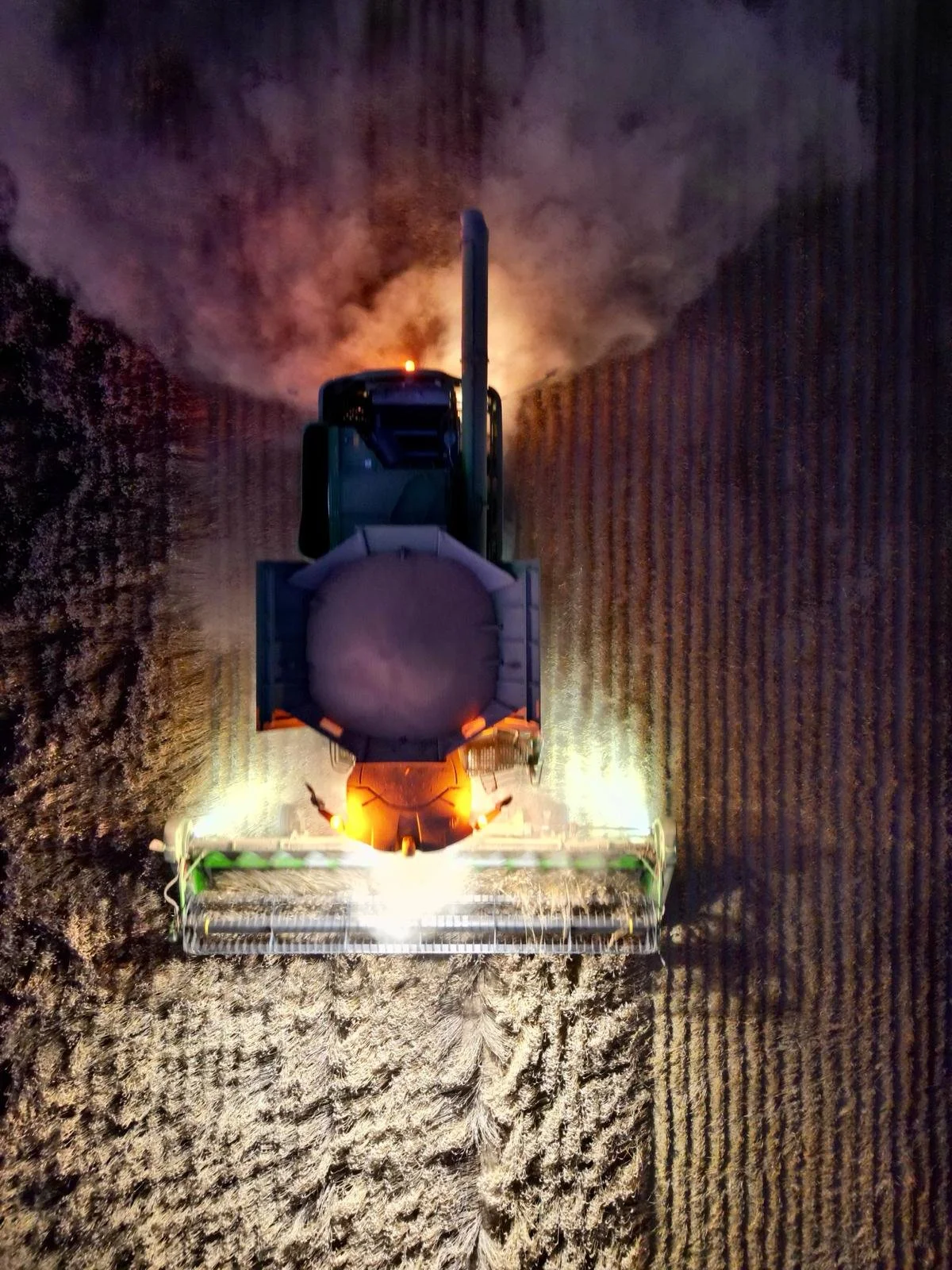 PHOTO-2026-03-03-08-43-33 3.jpg