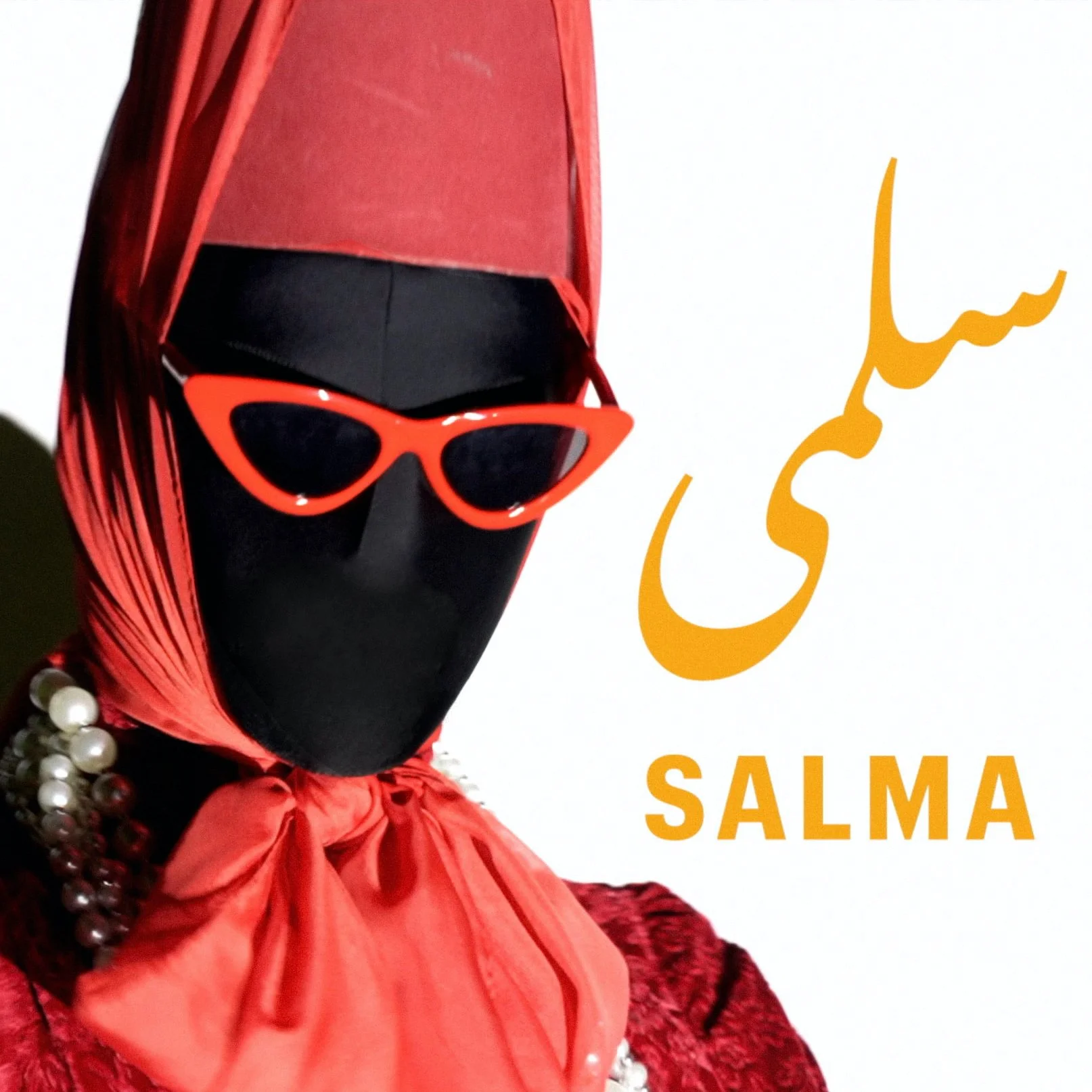 Salma! documentary by Mary Hanna