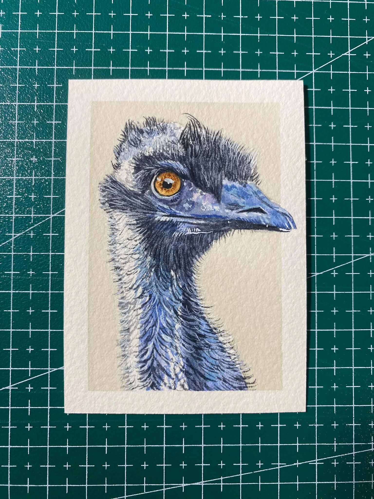 #009 - EMU - Dromaius novaehollandiae - Artist Trading Card/ACEO - Limited Edition Print  - PREORDER