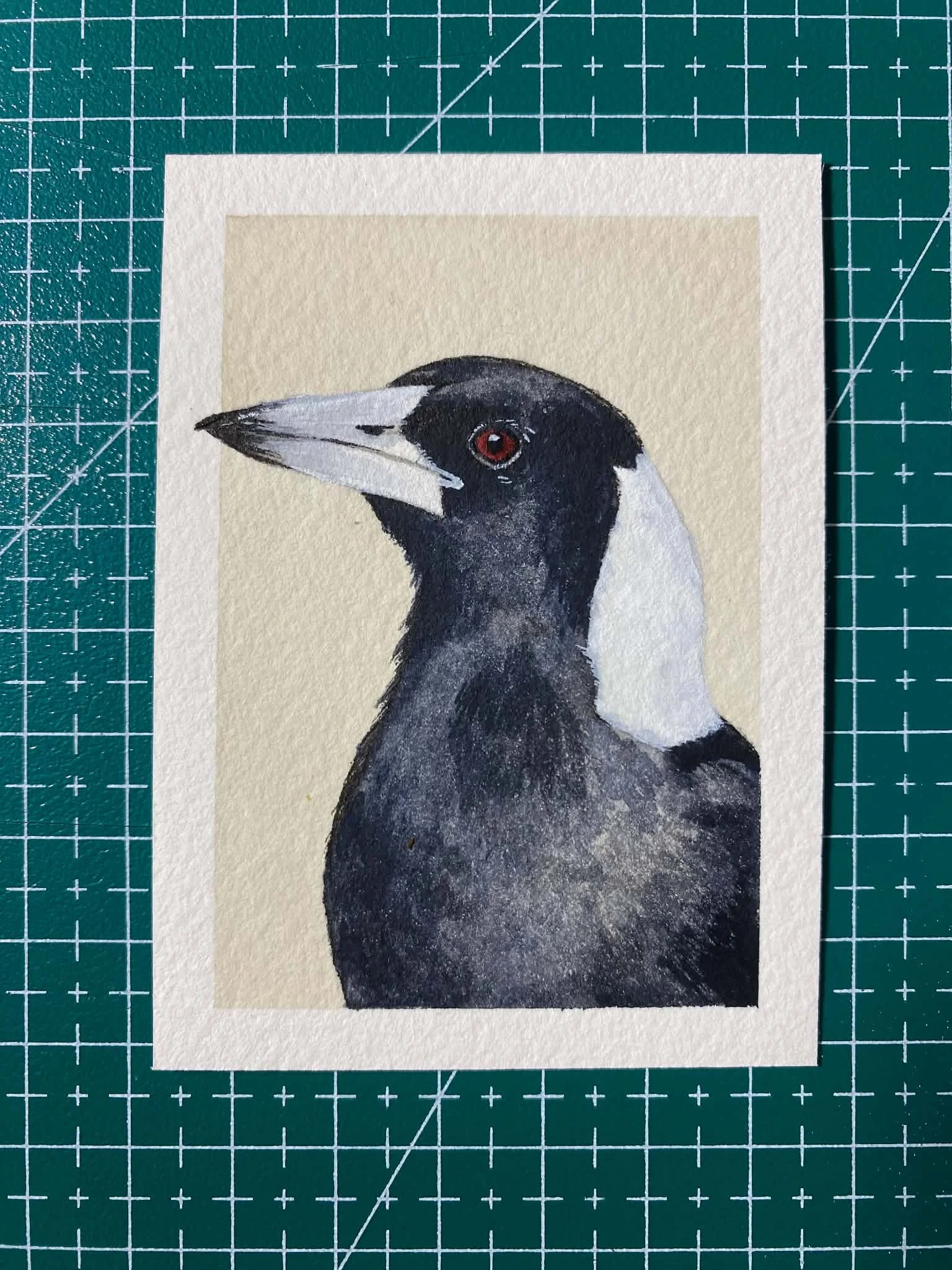 #001 - AUSTRALIAN MAGPIE - Gymnorhina tibicen - Artist Trading Card/ACEO - Limited Edition Print  - PREORDER