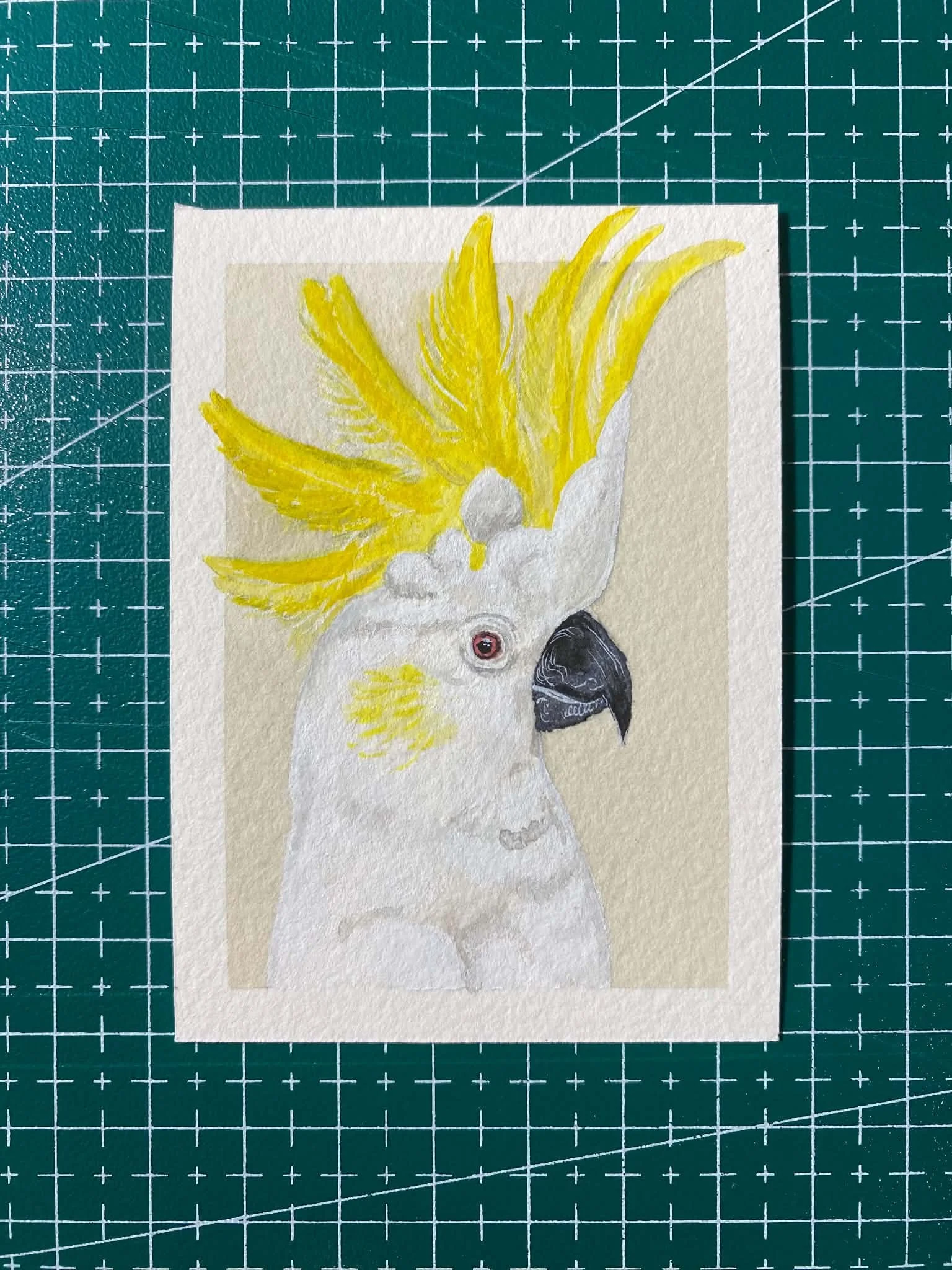 #007 - Sulphur-crested Cockatoo -  Cacatua galerita - Artist Trading Card/ACEO - Limited Edition Print  - PREORDER