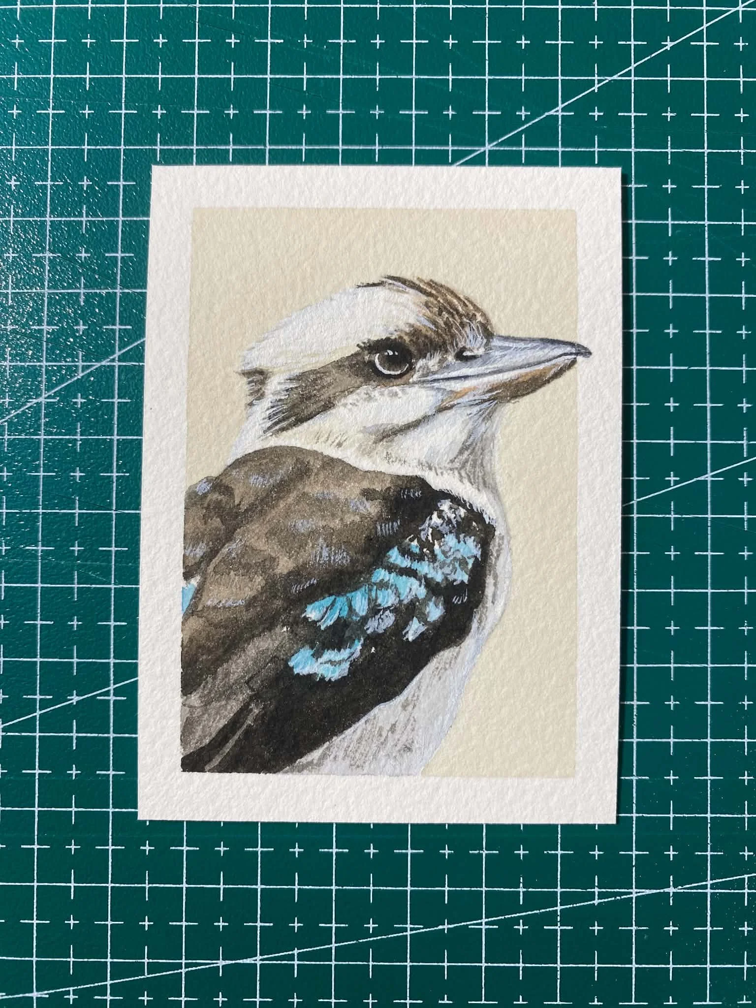 #004 - LAUGHING KOOKABURRA - Dacelo novaeguineae - Artist Trading Card/ACEO - Limited Edition Print  - PREORDER