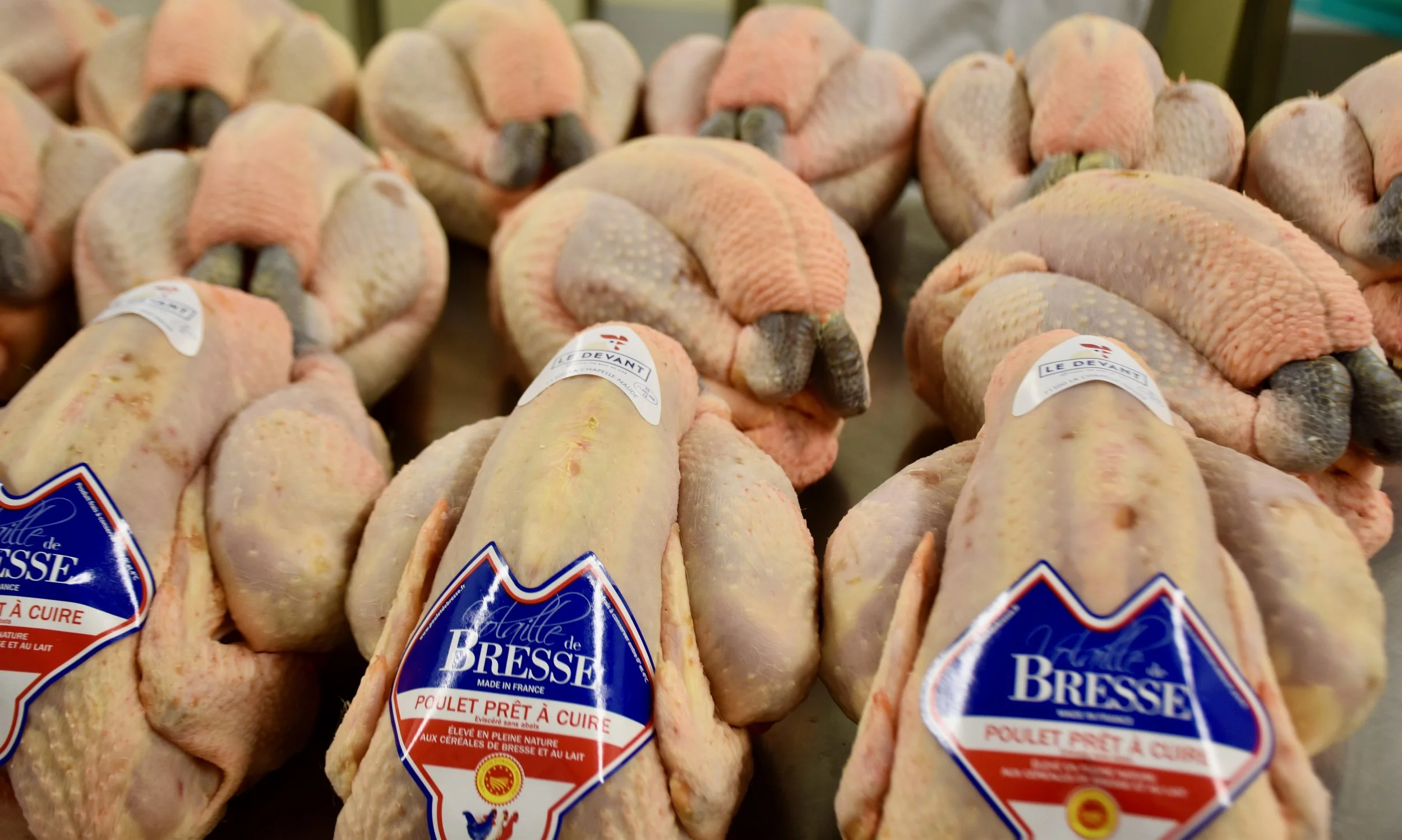 Poulet de Bresse AOP 2kg