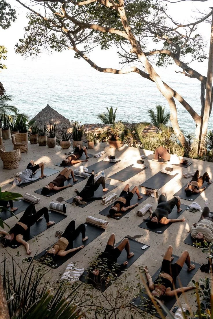 Groupe de personnes faisant du yoga ou de la méditation sur des tapis noirs en extérieur, avec la mer en arrière-plan, entouré de plantes et de palmiers, sous un arbre.