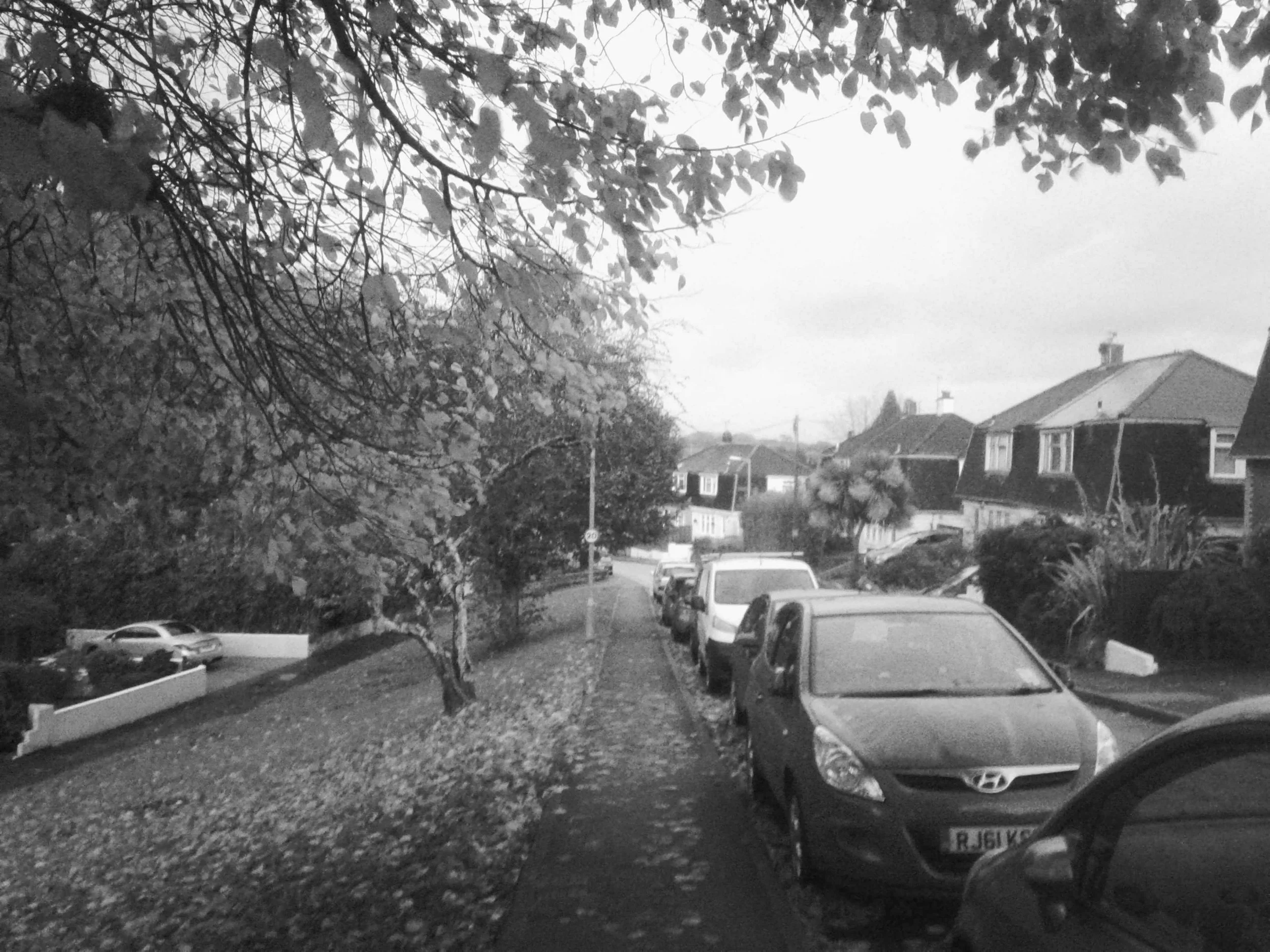 SNAP_00123.JPG