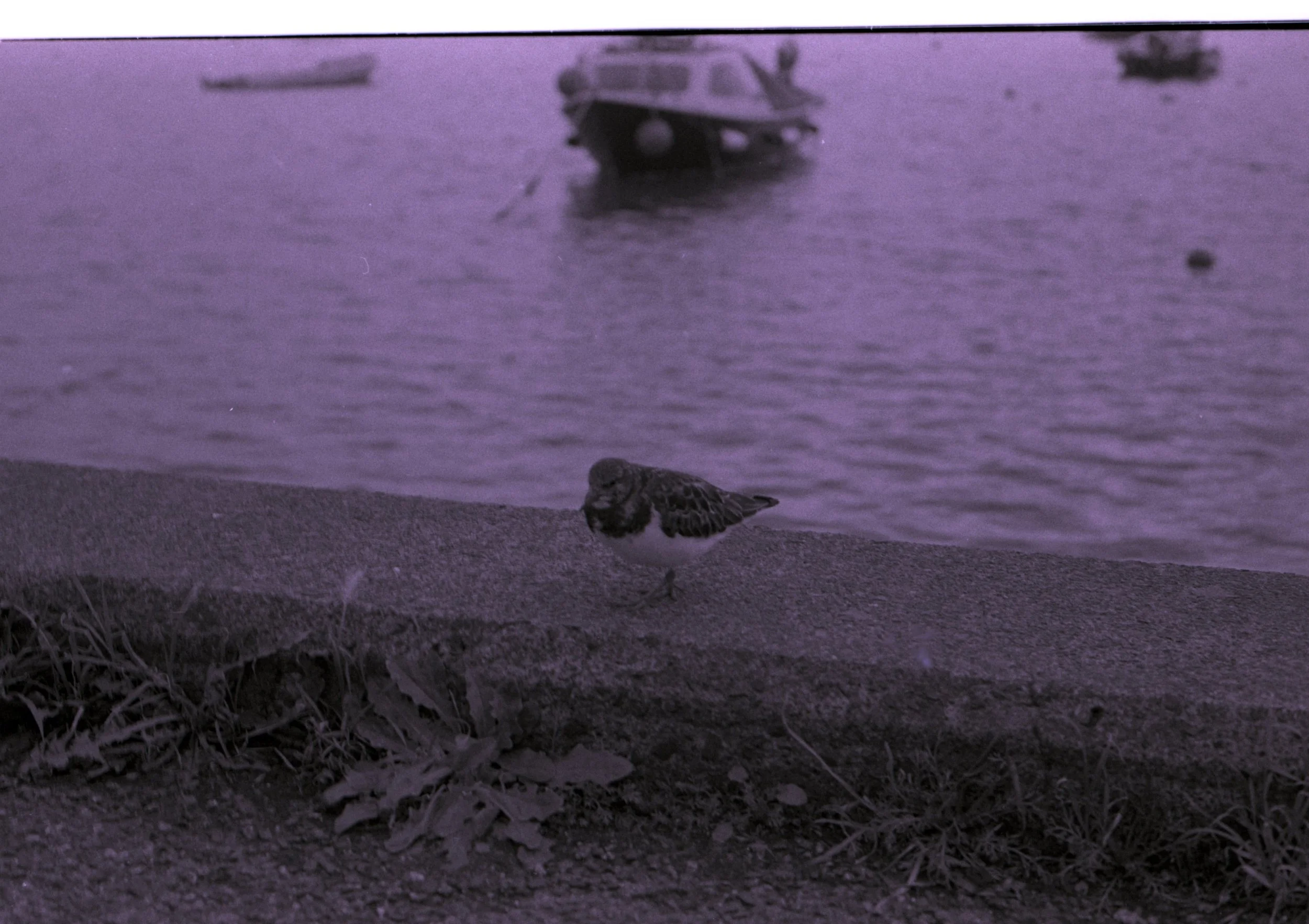 img20231122_15503201.jpg