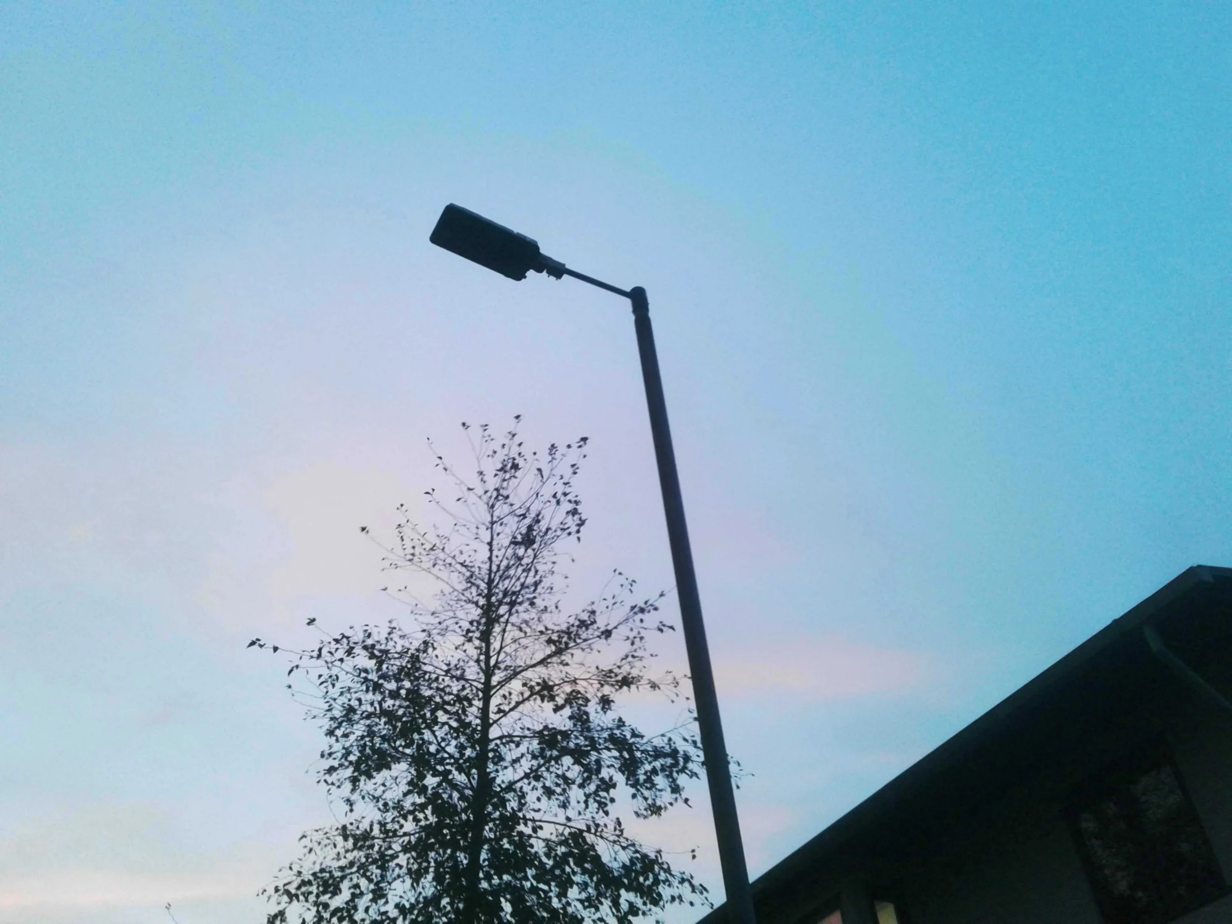 SNAP_00175.JPG