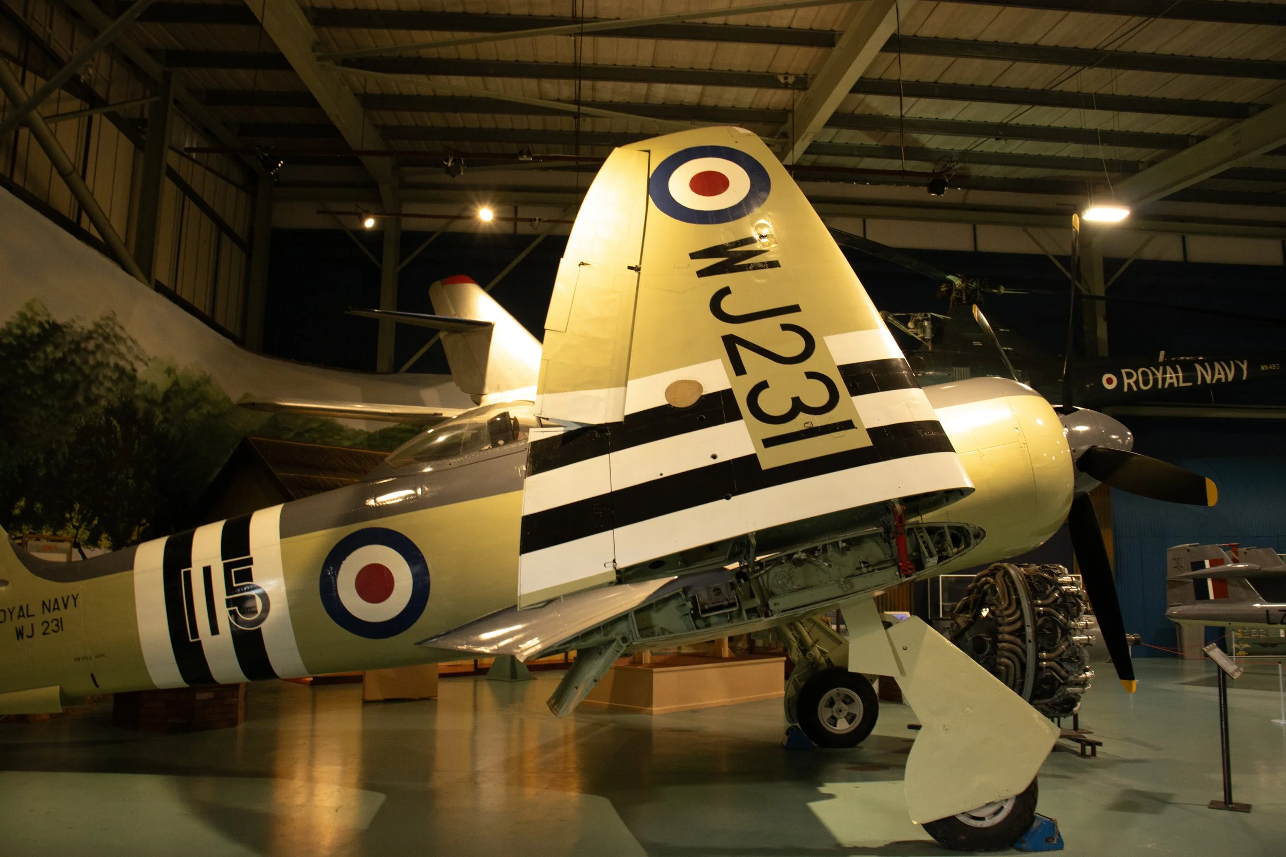 wj231.jpg