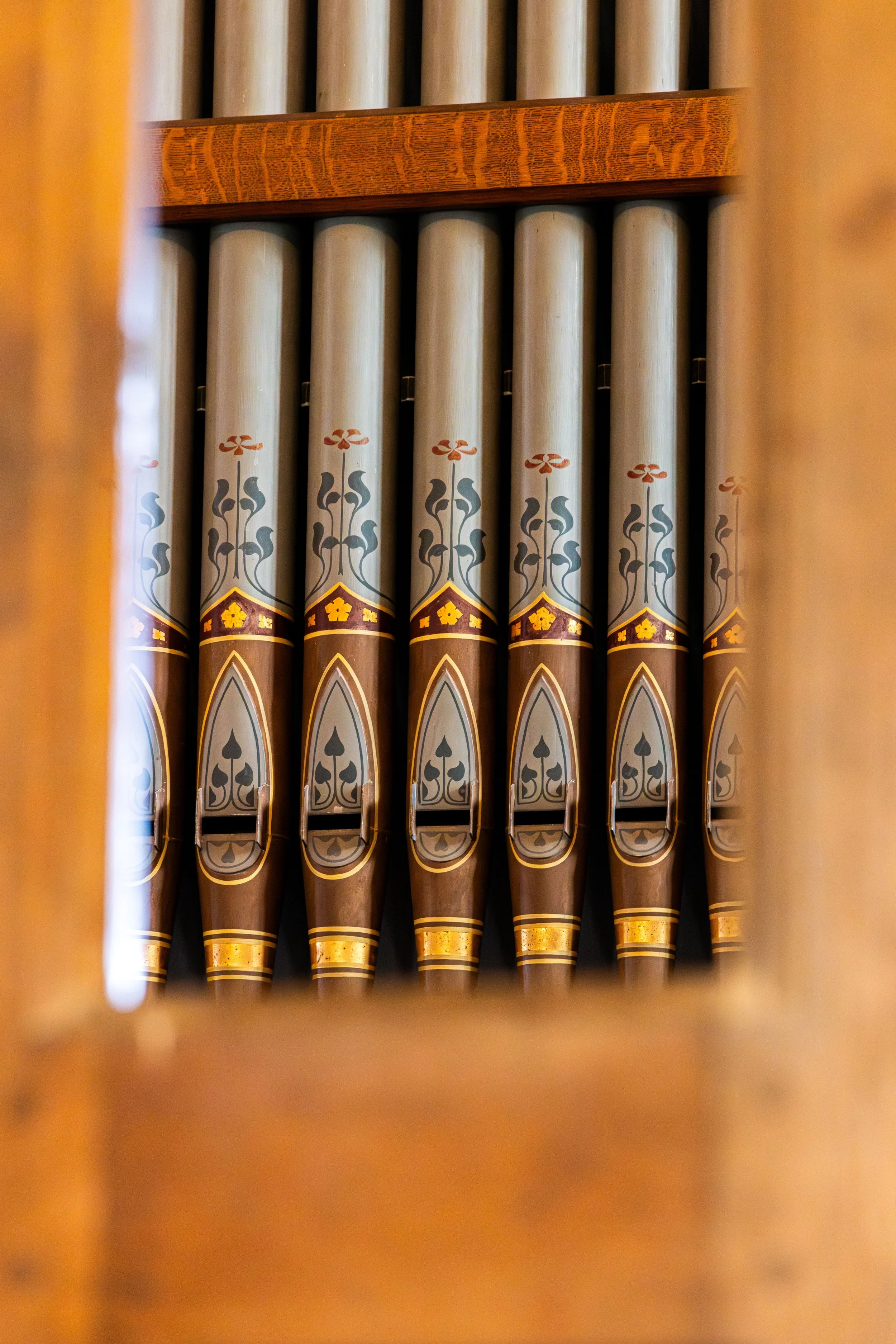 organ.jpg