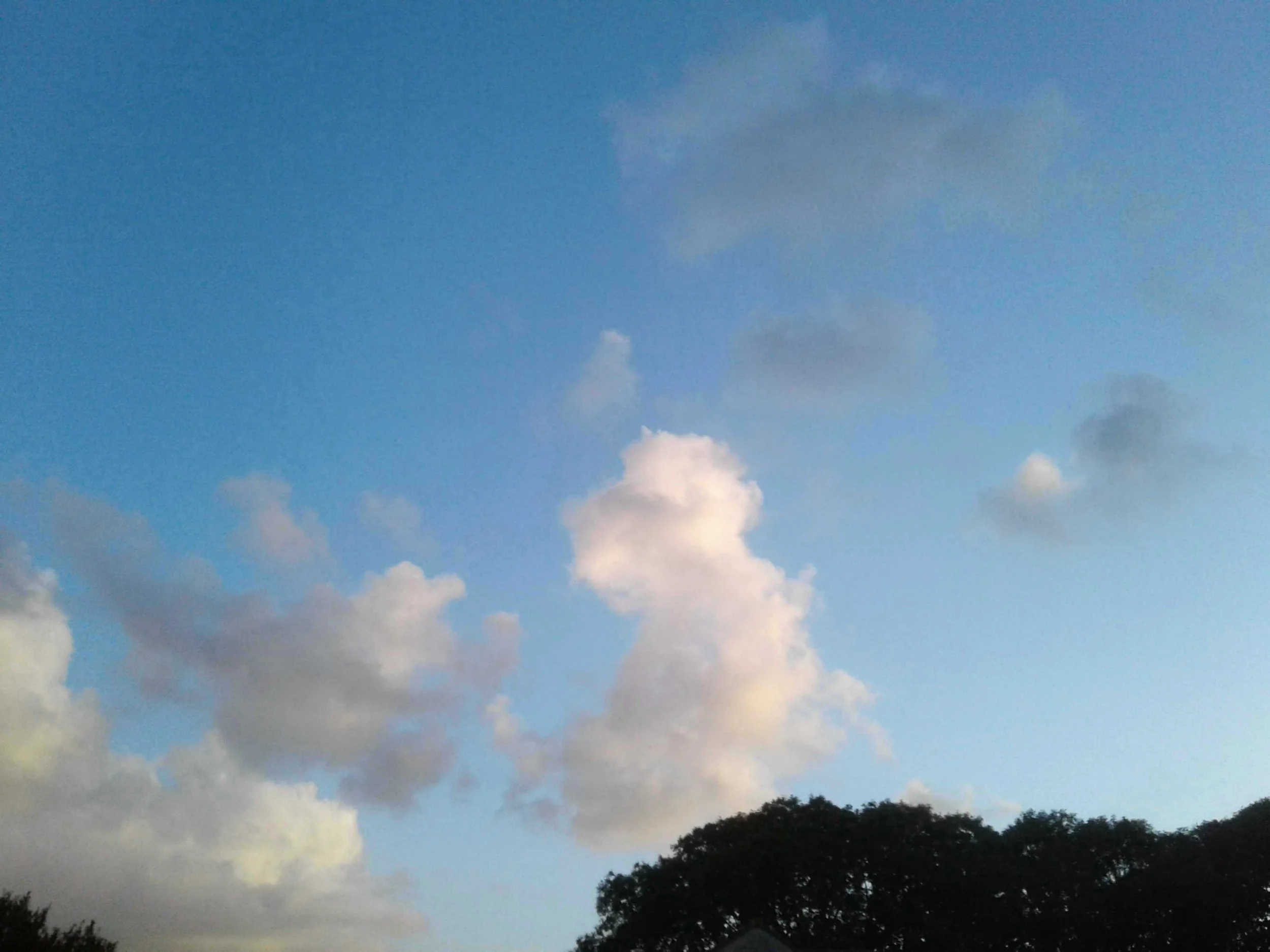 SNAP_00078.JPG