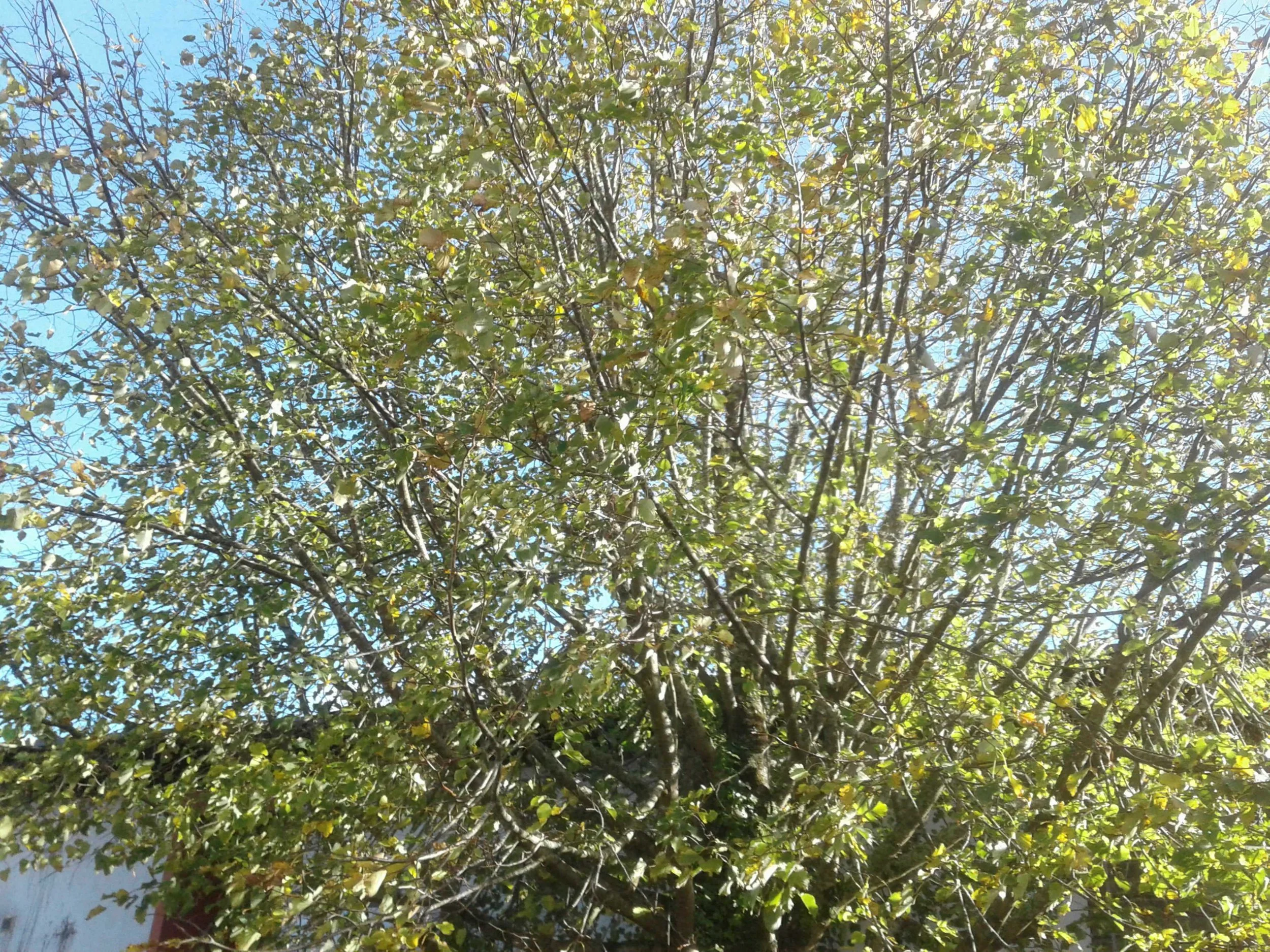 SNAP_00125.JPG