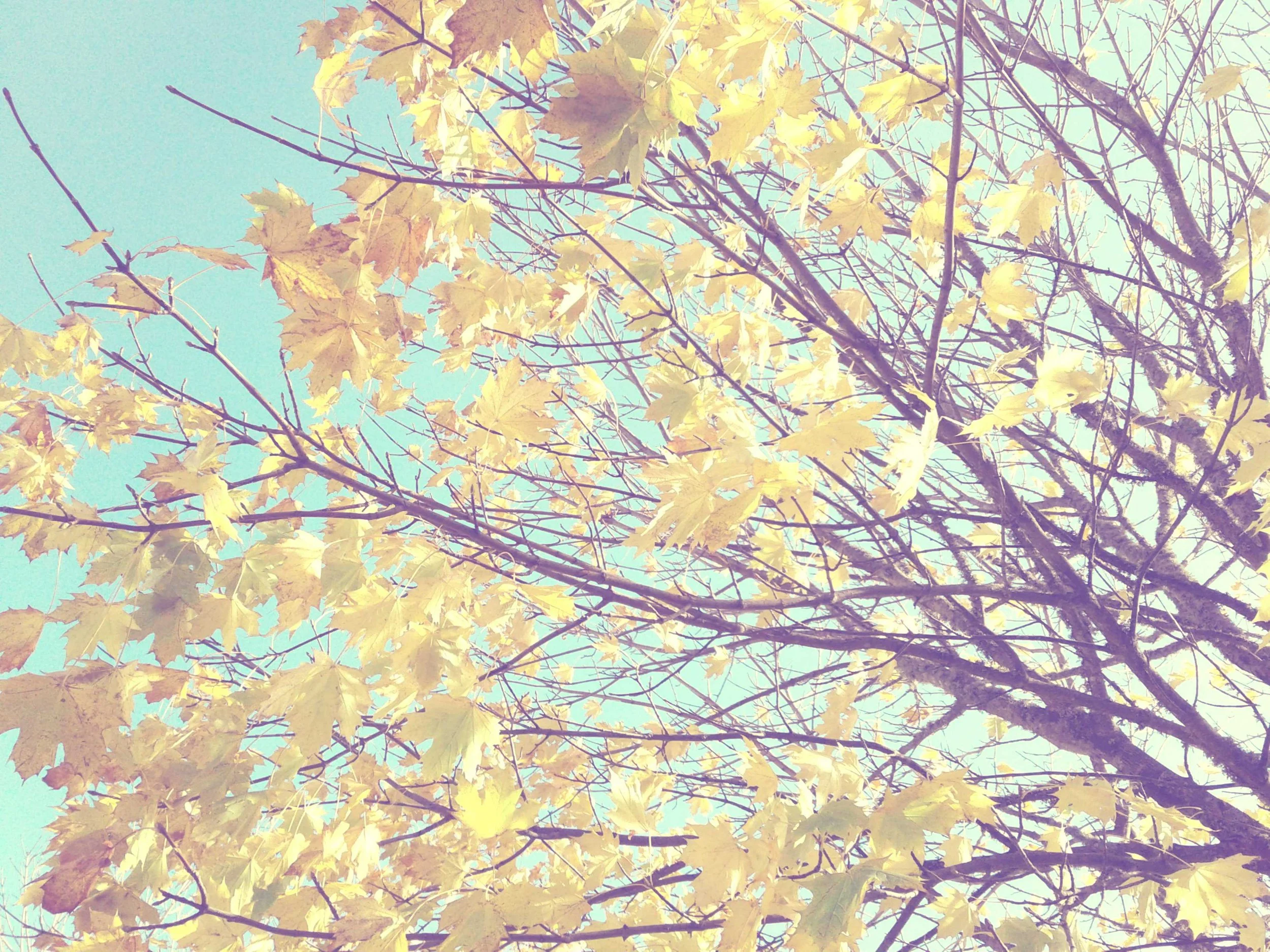 SNAP_00037.JPG