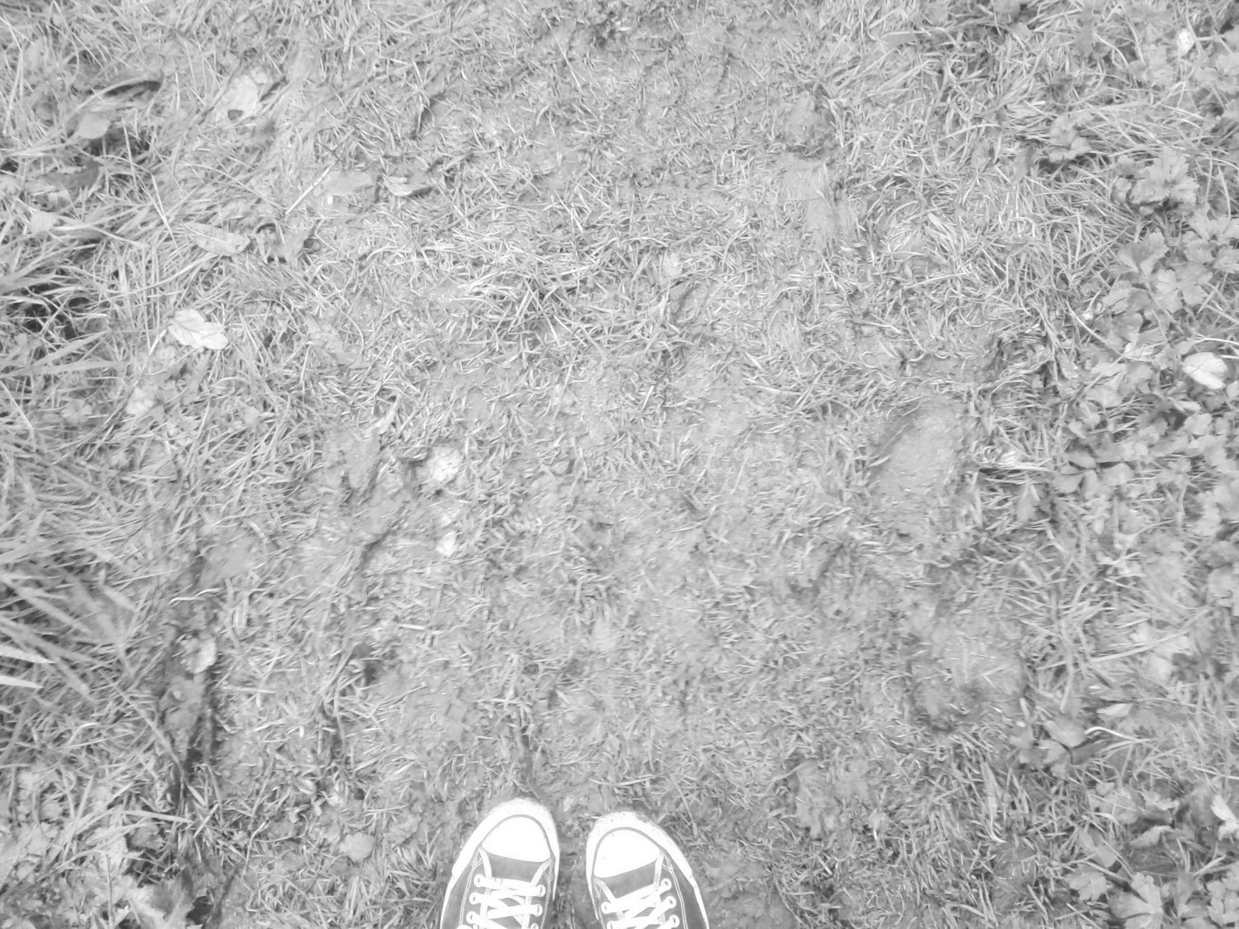 SNAP_00114.JPG