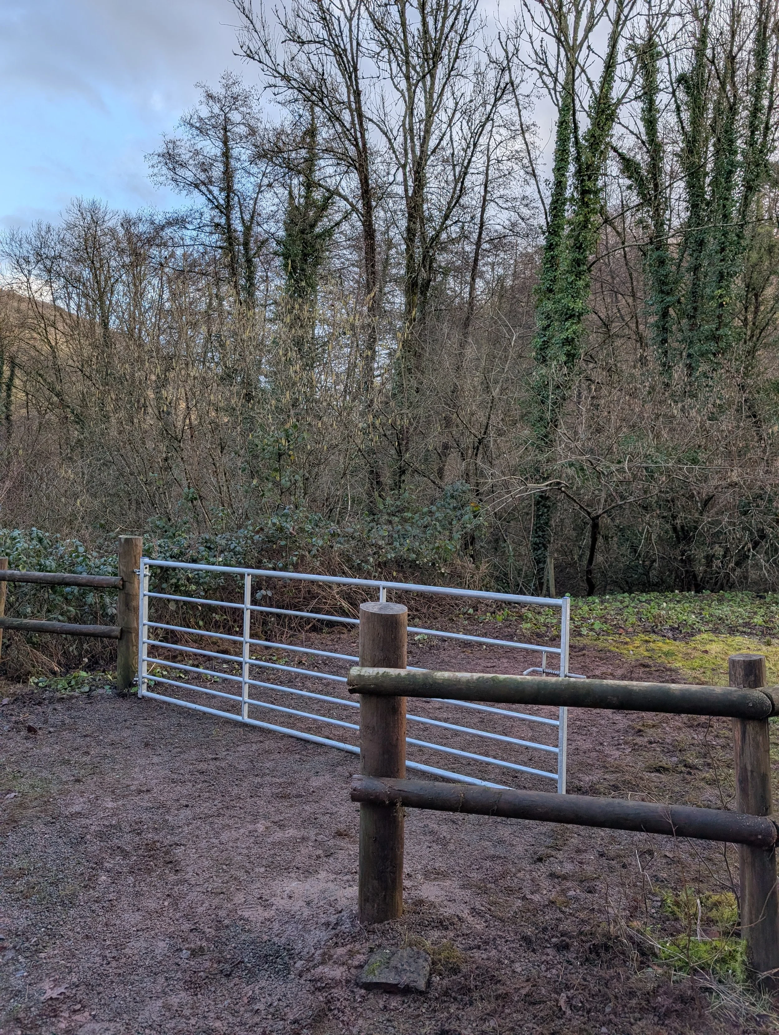 A dirt pathway with wooden and metal fence posts, leading into a wooded area with leafless trees and some greenery.