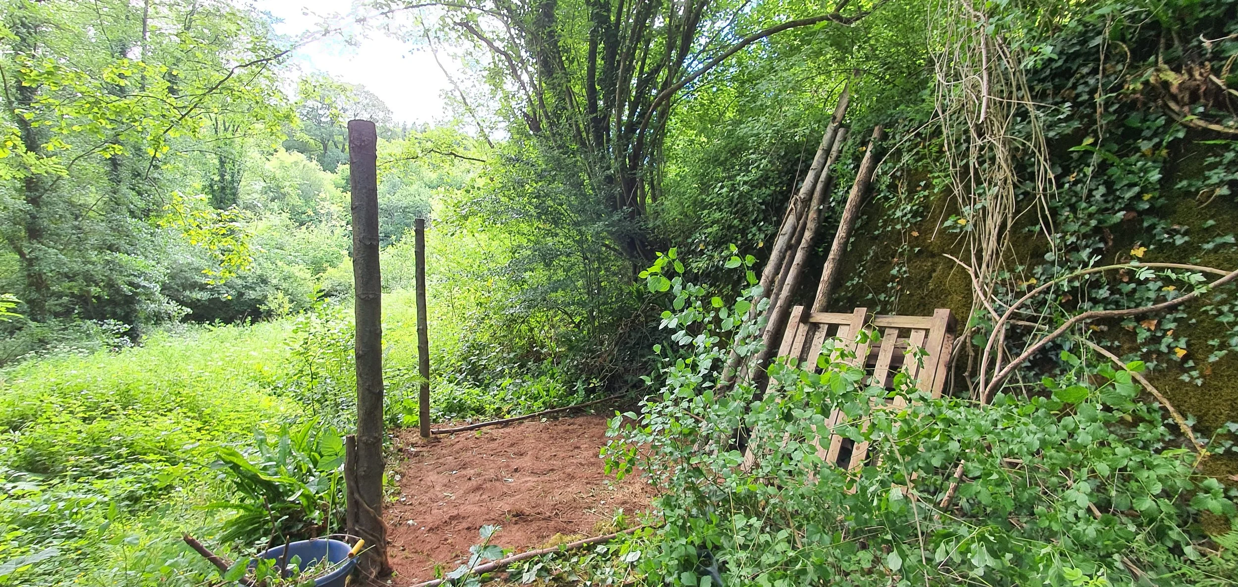 A small cleared patch of ground in a dense green forest, bordered by a dirt path, with wooden stakes, a wooden pallet, and a bucket nearby, surrounded by lush foliage and trees.