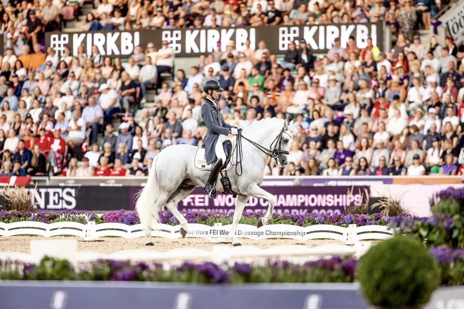 Alejandro Sánchez del Barco is a Spanish dressage rider competing at international level. He has represented Spain in international competitions and is known for his consistent performances and correct riding fundamentals