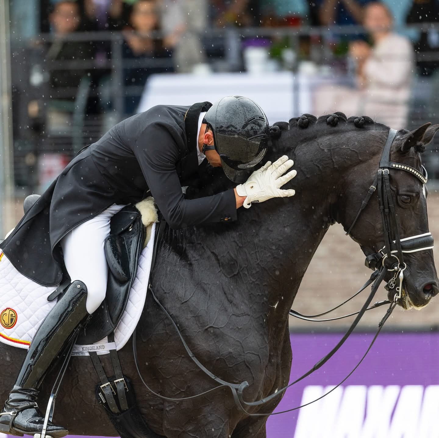 Equestrian World number one, Justin Verboomen and  Zonik Plus