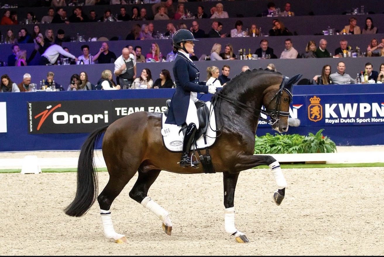 Dutch dressage rider competing at international Grand Prix level, stallion Hitmaker
