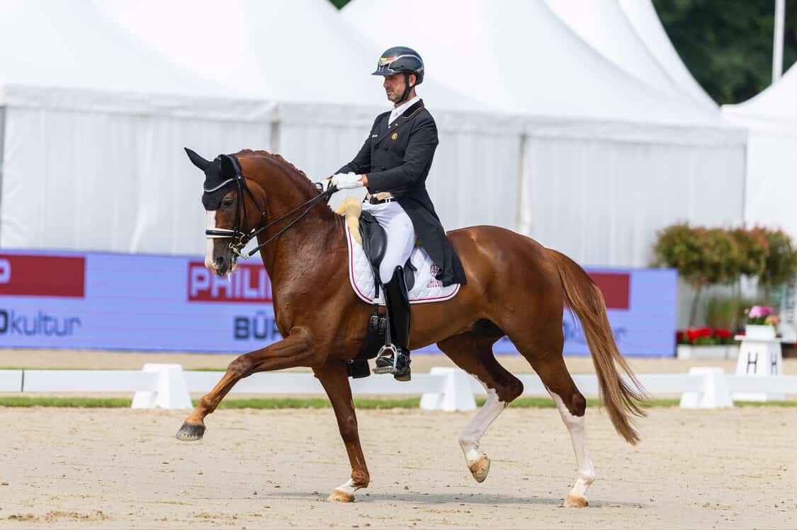 Belgian dressage rider competing at international Grand Prix level