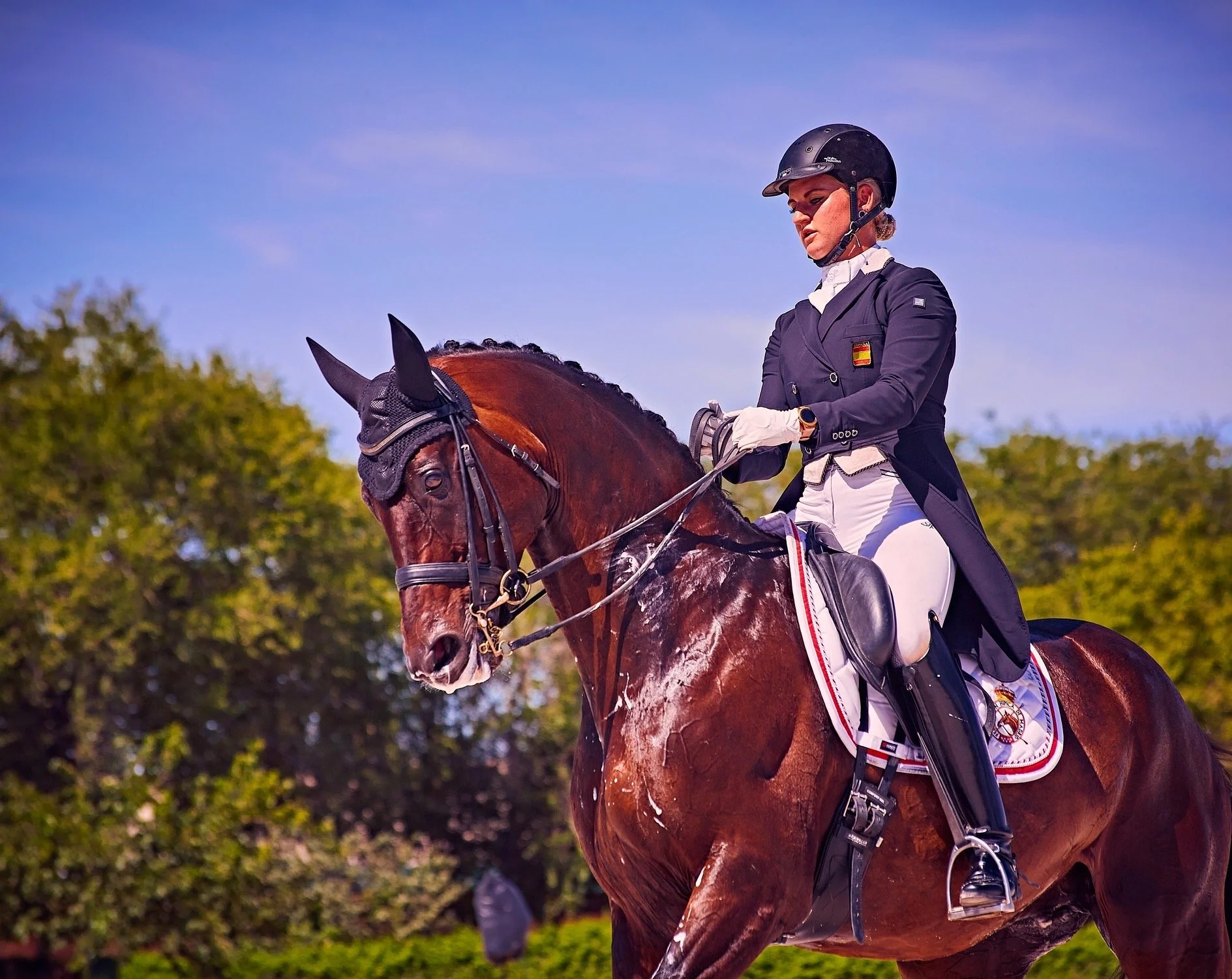 Karin Hůsková is a Czech dressage rider competing at international level. She has represented the Czech Republic in international competitions and is known for her consistent performances and correct riding style