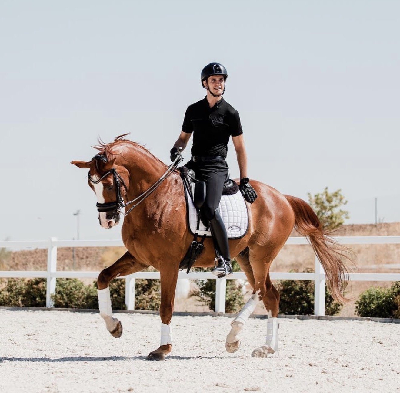 Juan Matute Guimón is a Spanish dressage rider competing at international Grand Prix level. He has represented Spain at major championships, including the Olympic Games and European Championships.
