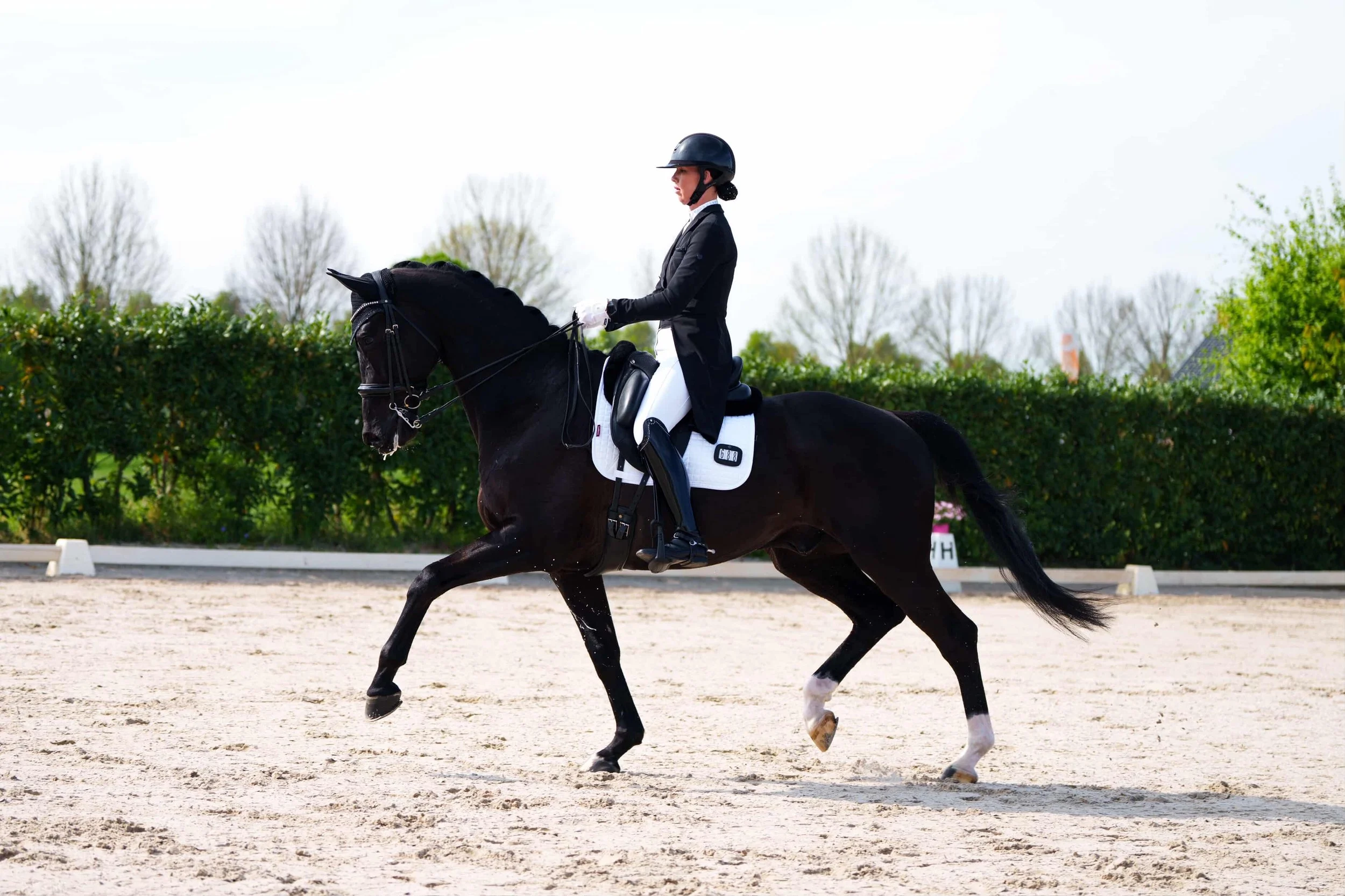 Stephanie Kooijman is a Dutch dressage rider competing in national and international competitions
