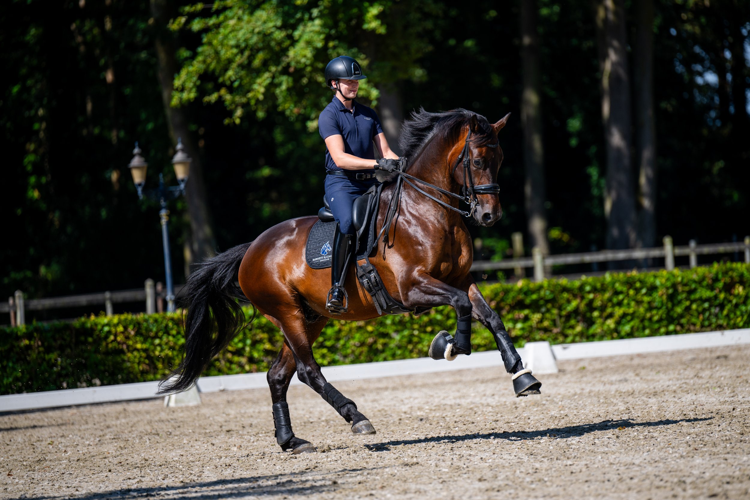 Brian Barnett is a dressage rider competing at national and international level