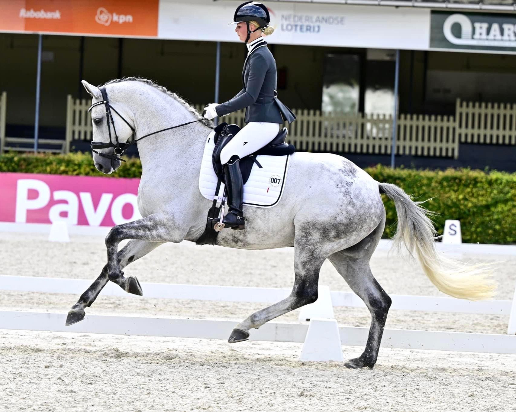 Kimberly Pap is a Dutch dressage rider who achieved successful results during her youth career before progressing to higher levels of competition