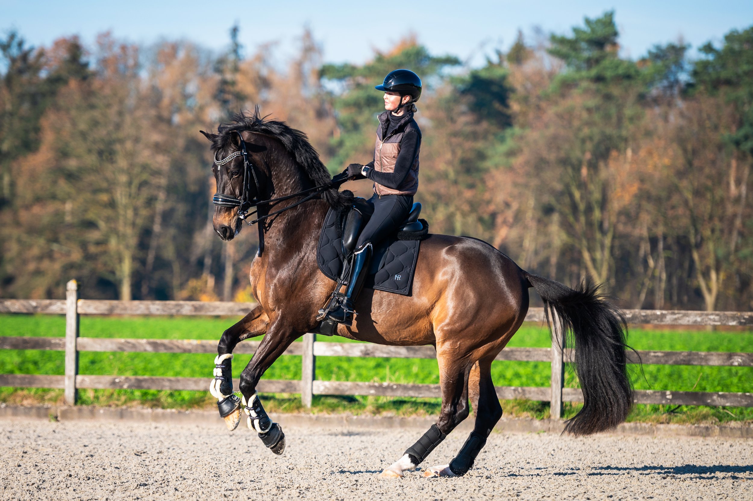 Danielle Houtvast is a Dutch dressage rider competing at international Grand Prix level. She is known for her consistent results and strong performances in international competitions