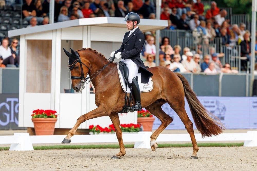 Franz Trischberger is a German dressage rider and trainer competing at international level. He is known for his professional training approach, consistent competition results, and dedication to developing dressage horses