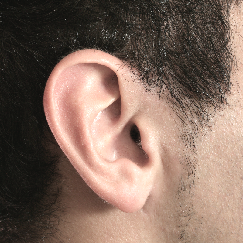 Auricular Acupuncture of the ear.