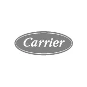 carrier.jpg