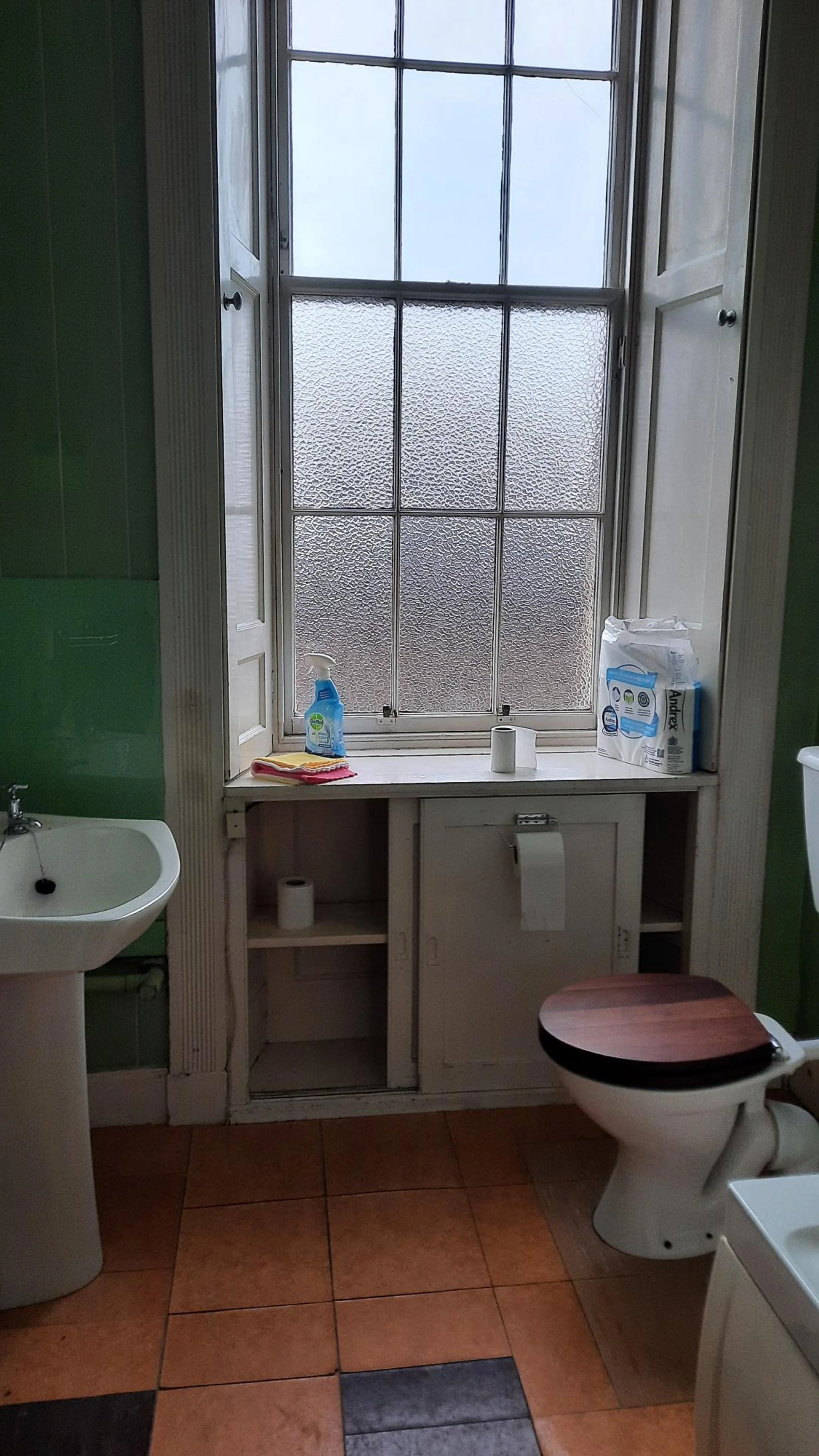 A small bathroom featuring a frosted glass window with open shutters, a pedestal sink on the left, and a toilet with a wood seat cover on the right. Items on the windowsill include toilet paper and cleaning supplies.