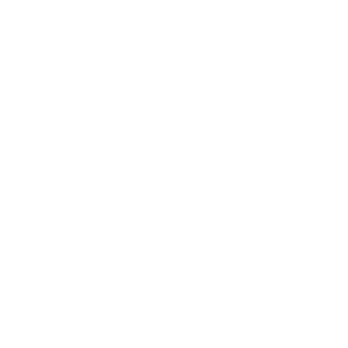 RAW DIRT