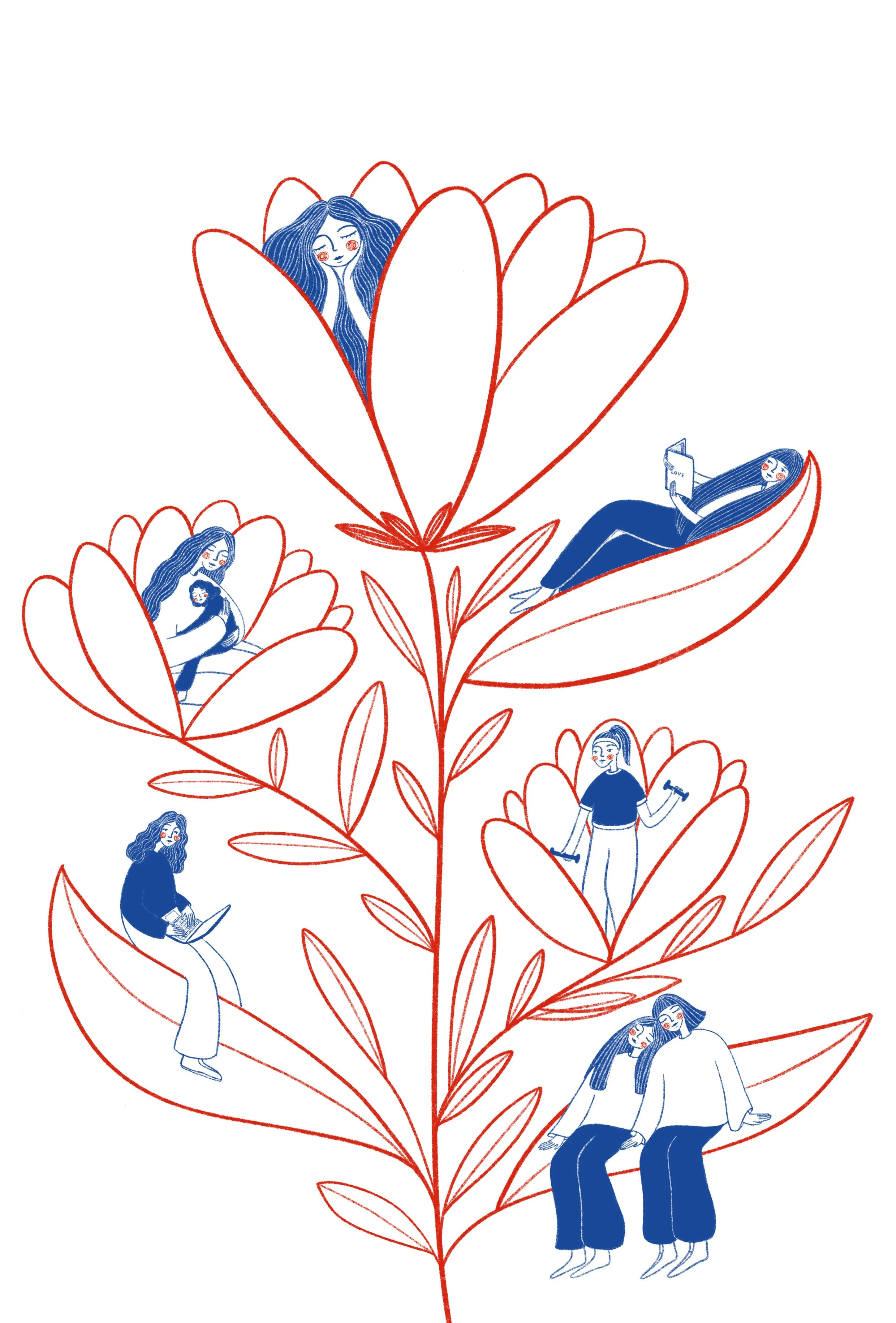 Stejarii Contry Club -Commission .jpg