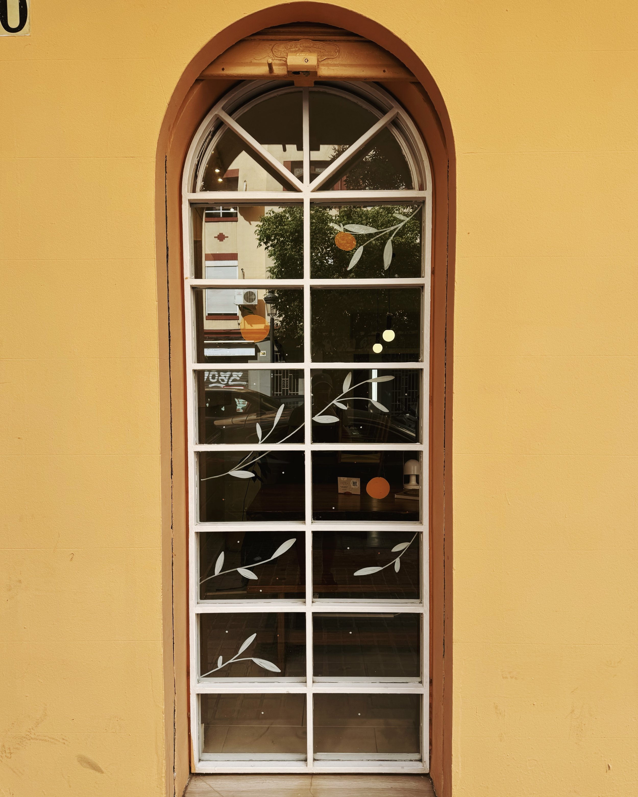 FullSizeRender_VSCO 3.jpg