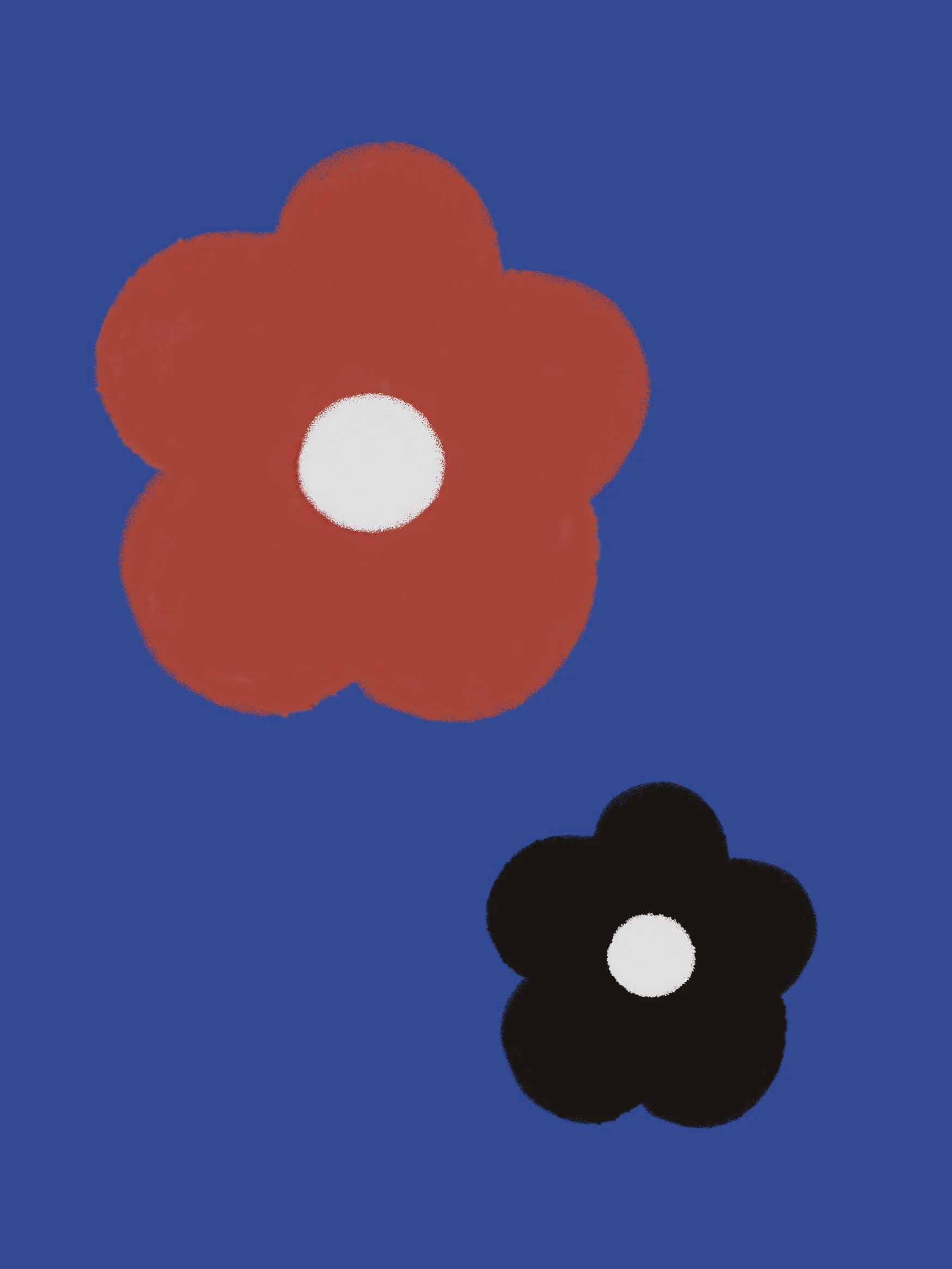 Two stylized flowers with white centers, one red and one black, set against a blue background.