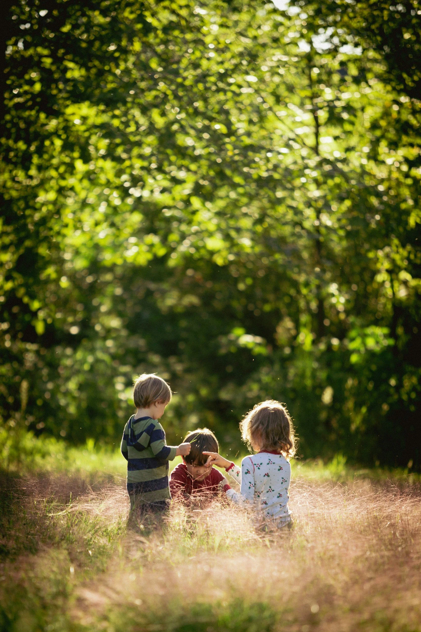 Trois enfants jouent dans l'herbe au calme dans une forêt ensoleillée.