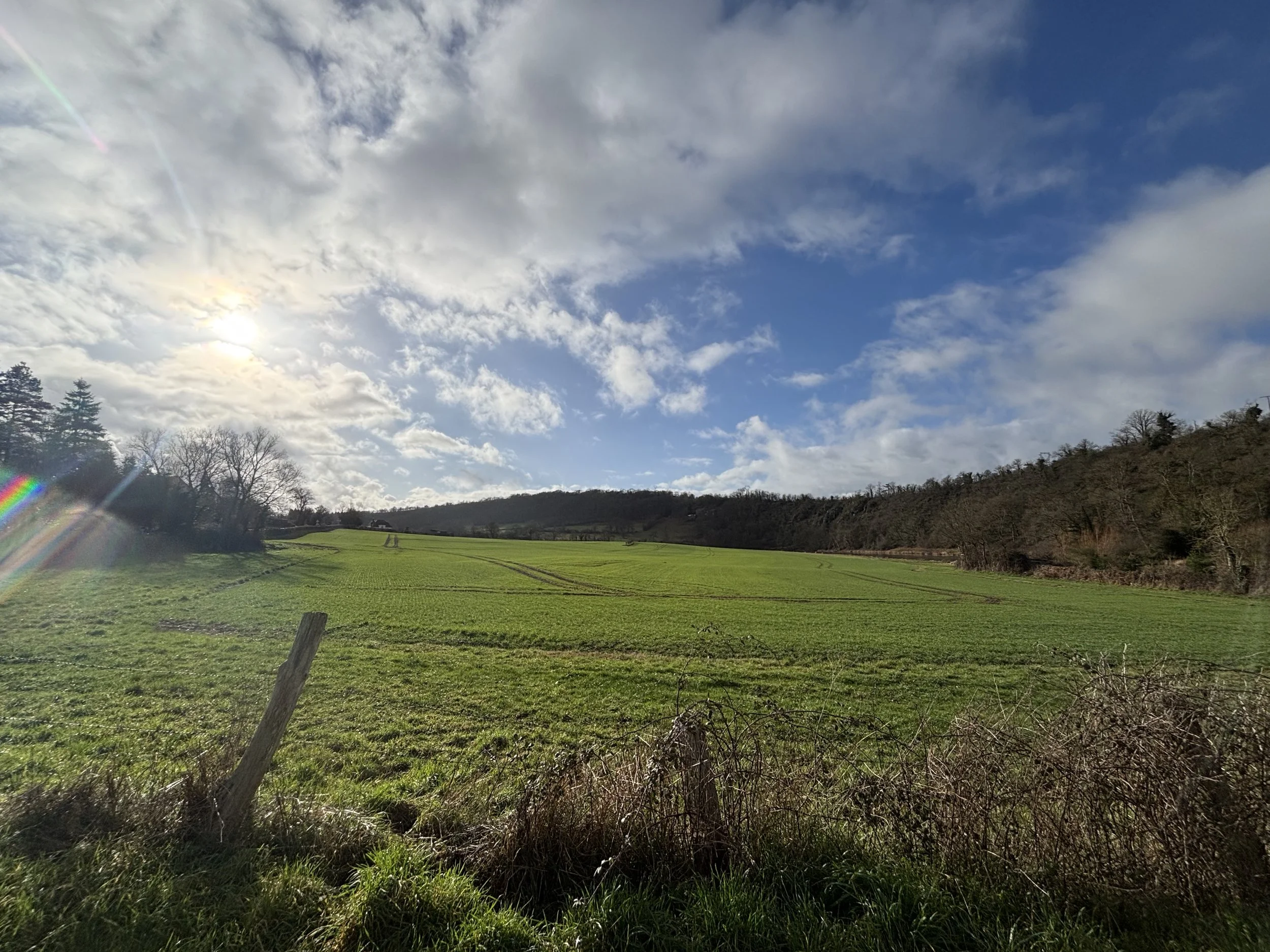 Champ vert avec des arbres en arrière-plan et un ciel en partie nuageux avec le soleil brillant.