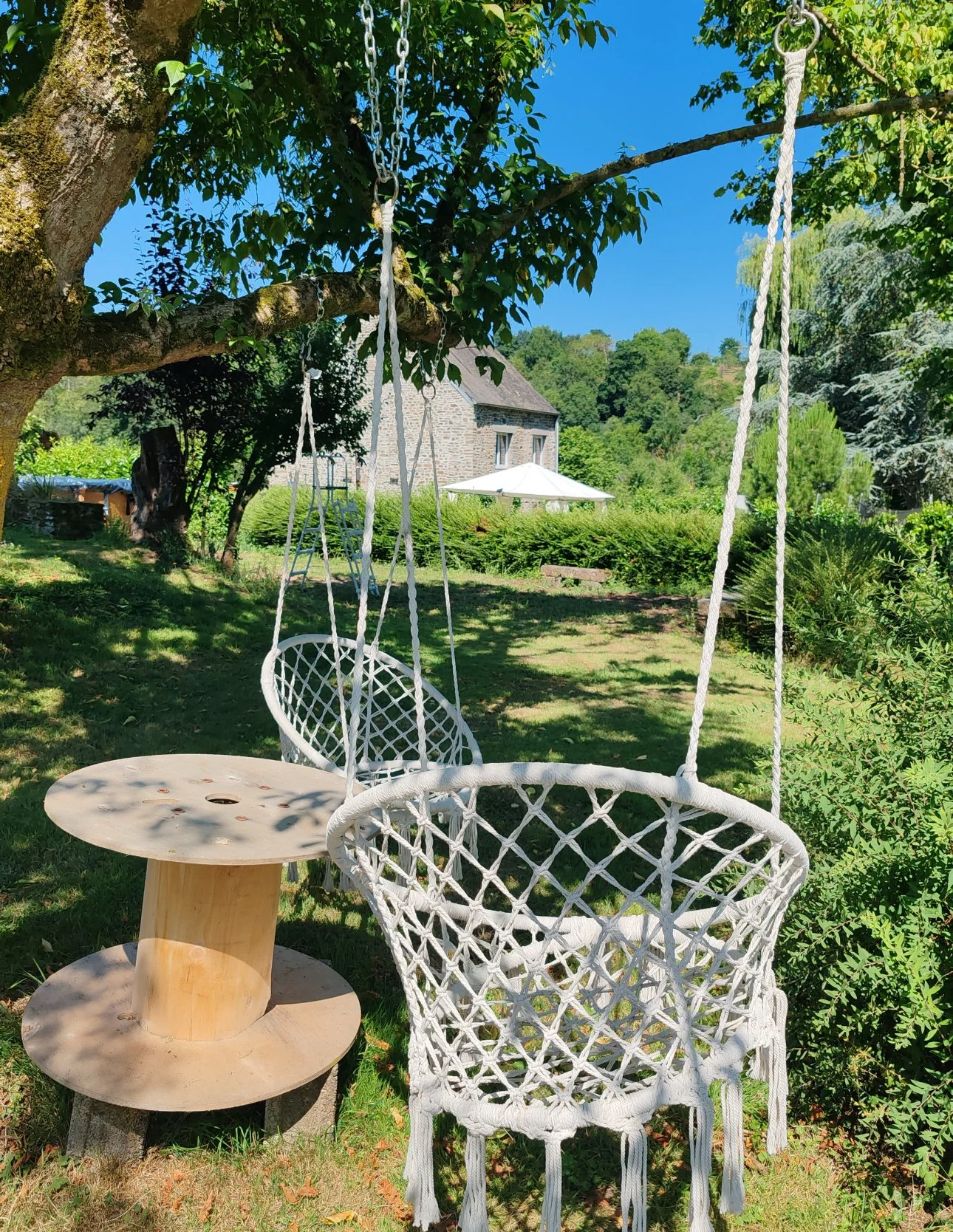 Une balançoire en corde blanche suspendue à un arbre dans un jardin ensoleillé avec un fauteuil en corde blanche et une table en bois à côté, entouré de végétation et de maison en arrière-plan.