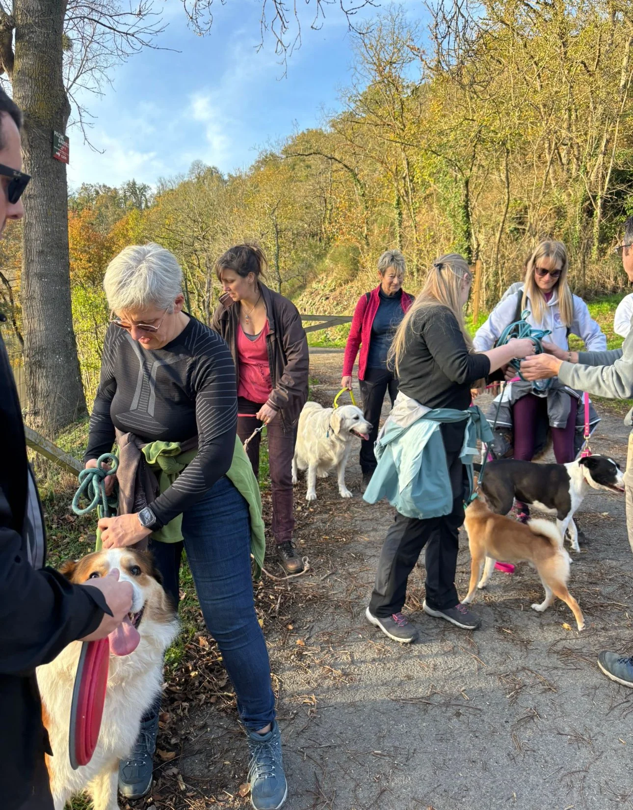 Un groupe de personnes avec leurs chiens lors d'une promenade Speak Canis avec Florian Lebiez dans un parc forestier par une journée ensoleillée d'automne.