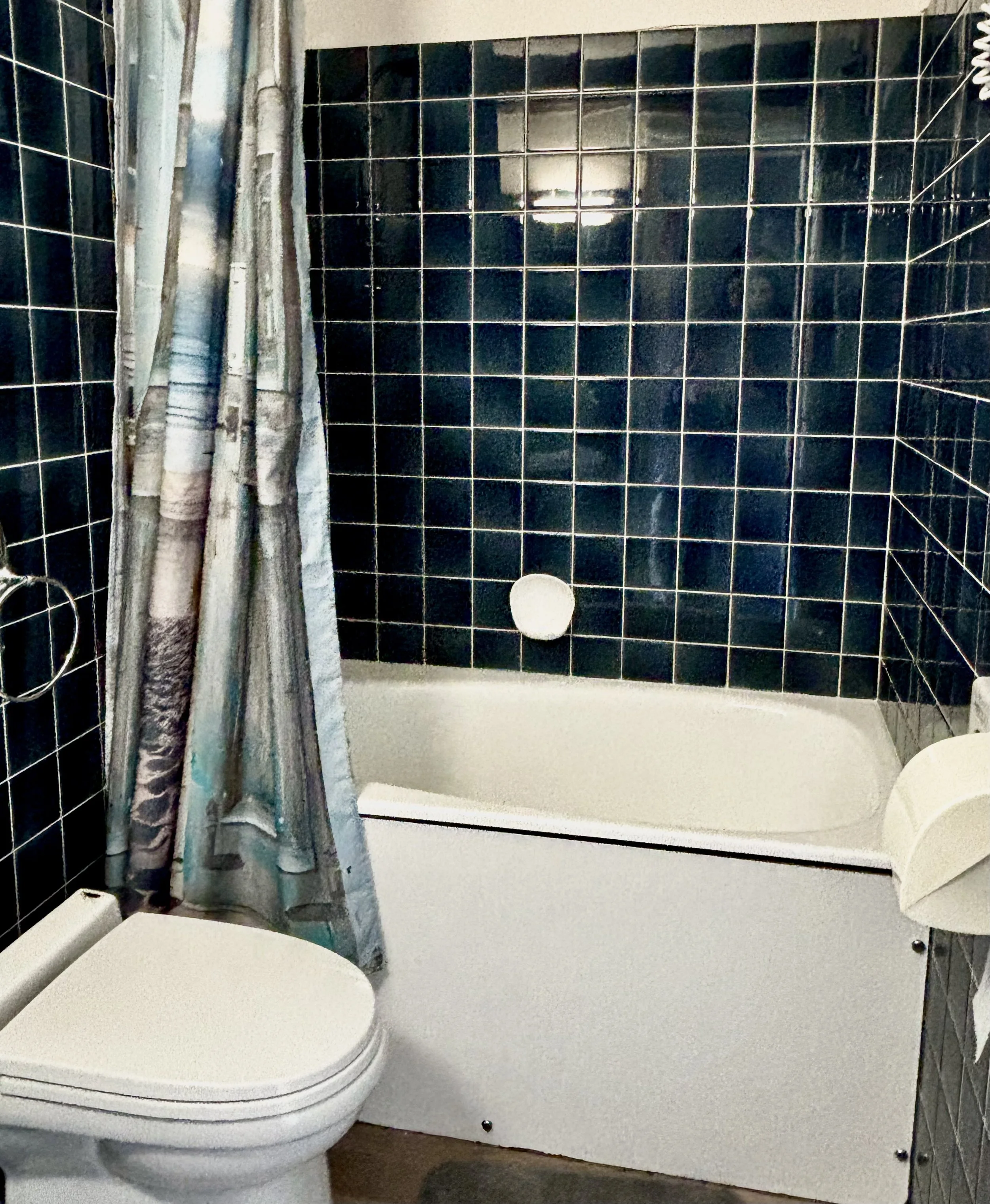 Salle de bain avec douche, baignoire, toilettes, murs recouverts de carreaux noirs.