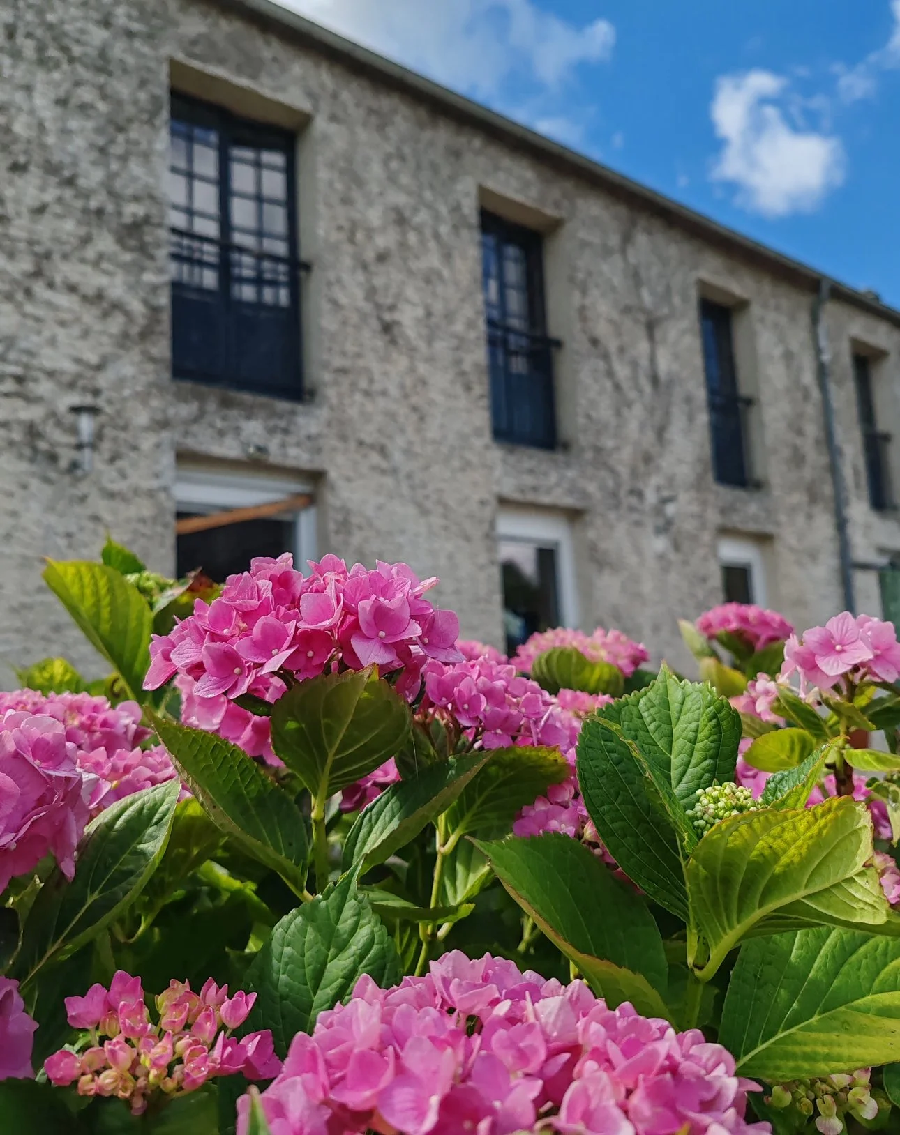 Geraniums roses avec vue sur l'Etape Saint Christophe