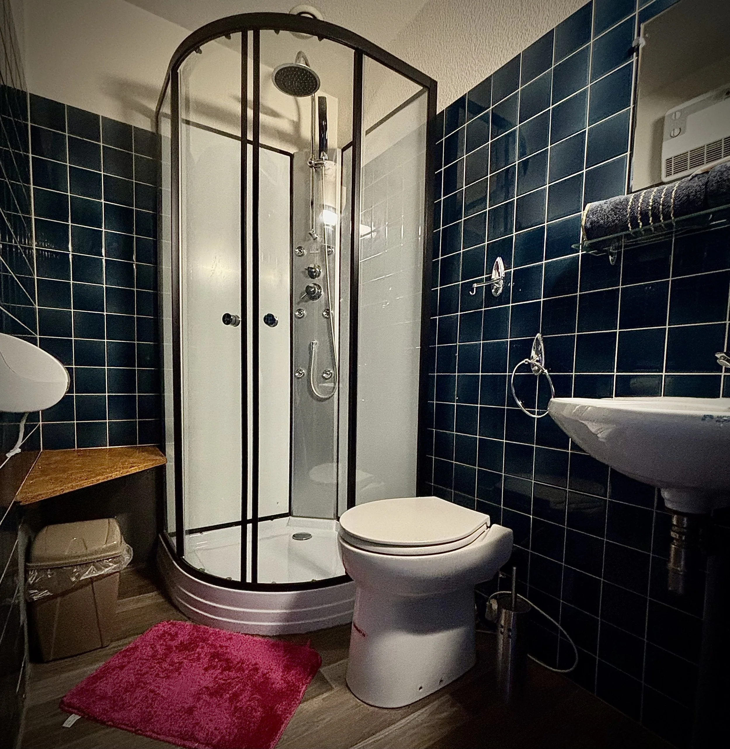 Salle de bain avec cabine de douche, toilette, lavabo, tapis rose et murs en carrelage bleu