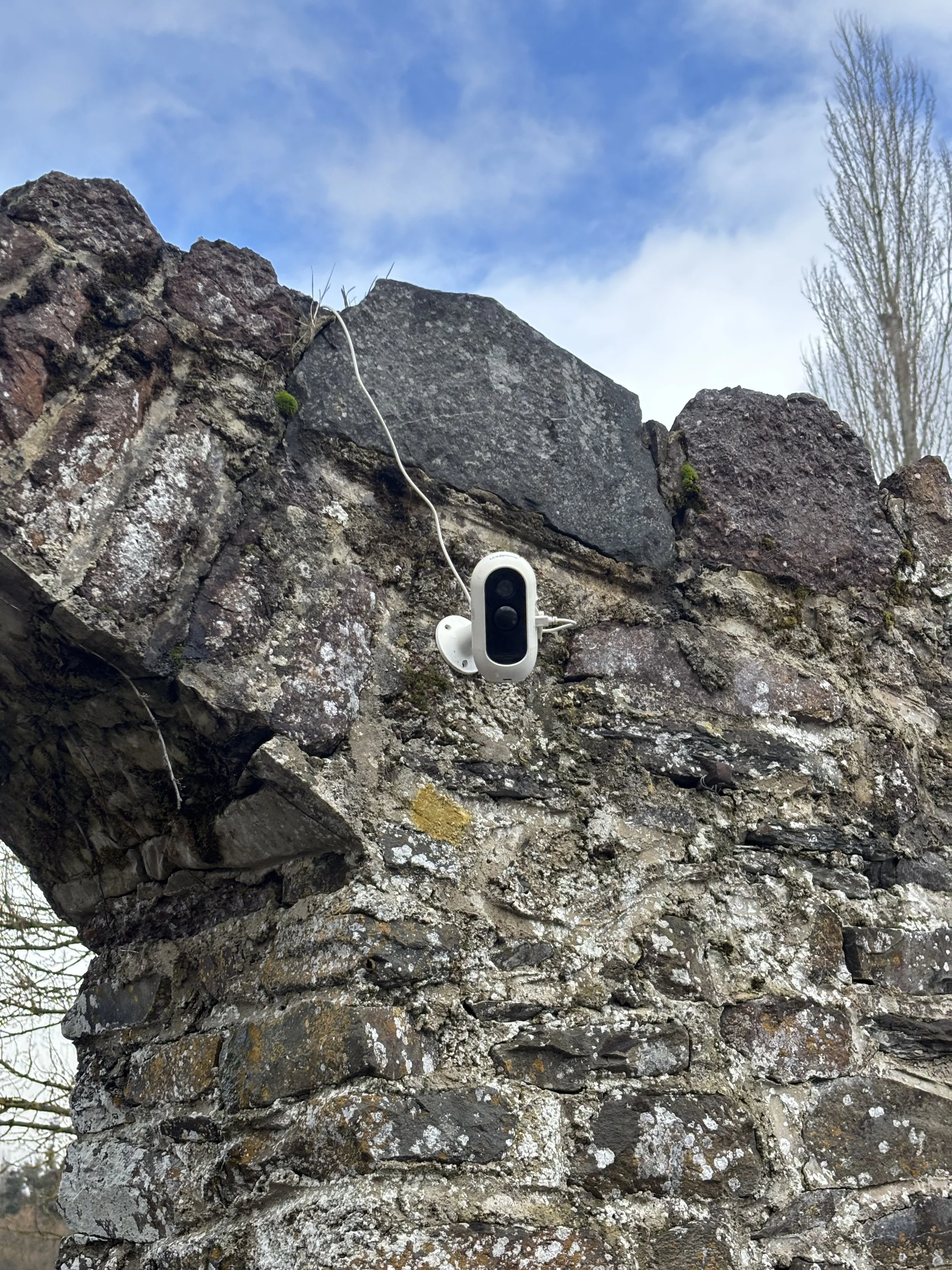 Caméra de surveillance fixée sur un mur en pierre.
