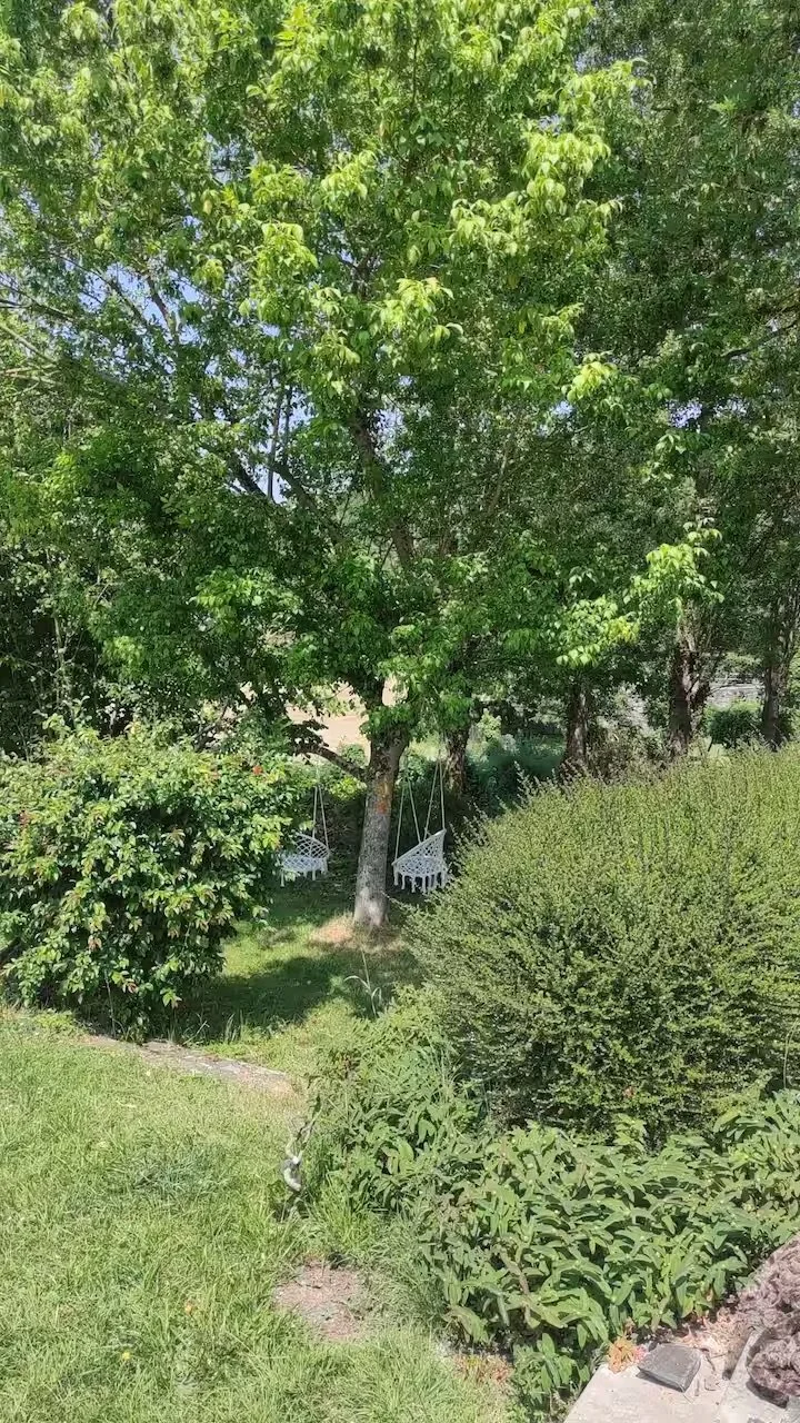 Un jardin avec des arbres verts, une petite pente d'herbe, un arbuste, et deux balançoires blanches suspendues aux branches d'un arbre.