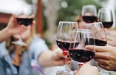Groupe de personnes levant des verres de vin rouge pour un toast