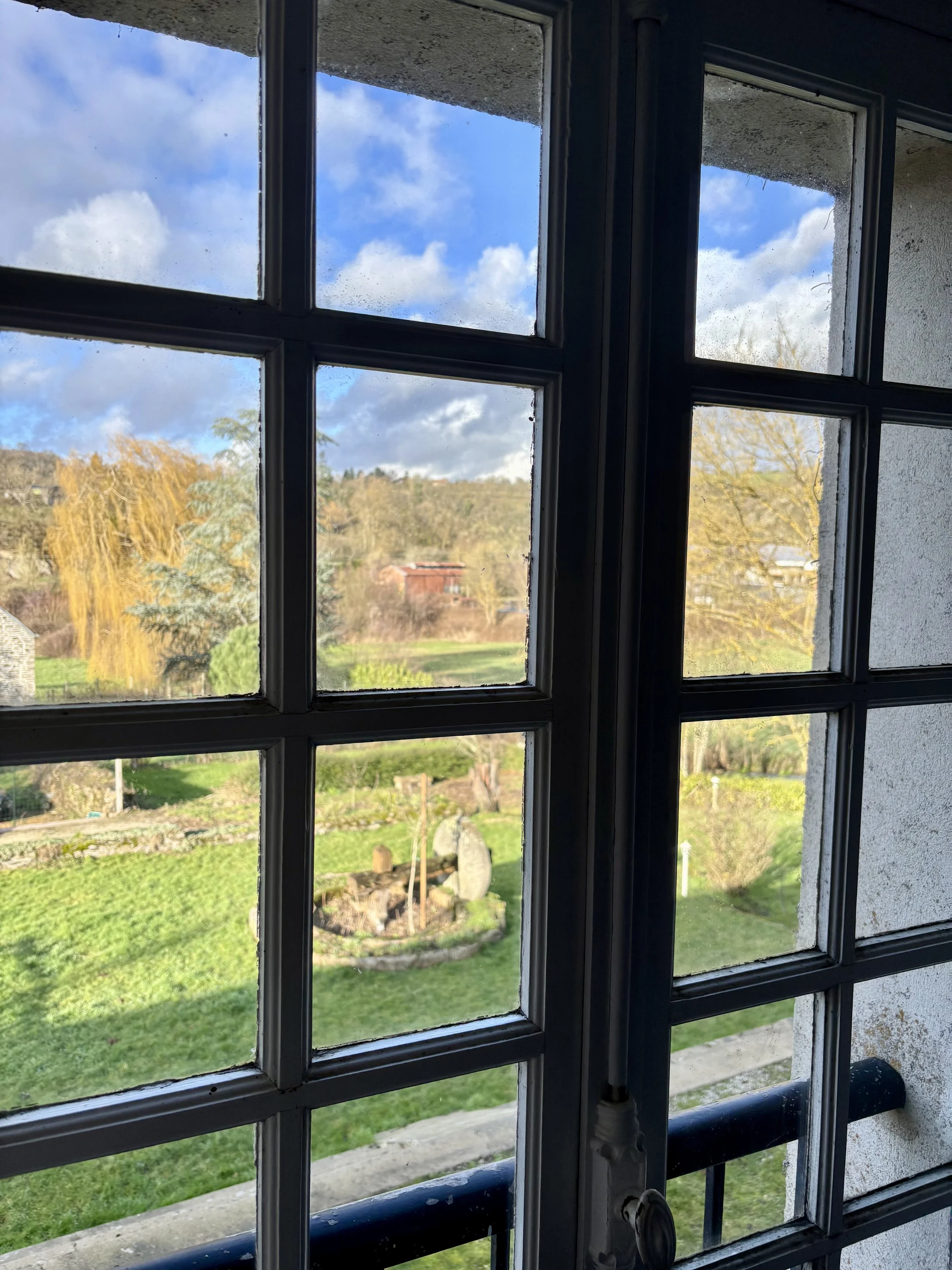 Vue à travers une fenêtre en grille montrant un jardin avec pelouse, arbre à feuilles jaunes, petits arbustes, et un ciel partiellement nuageux.