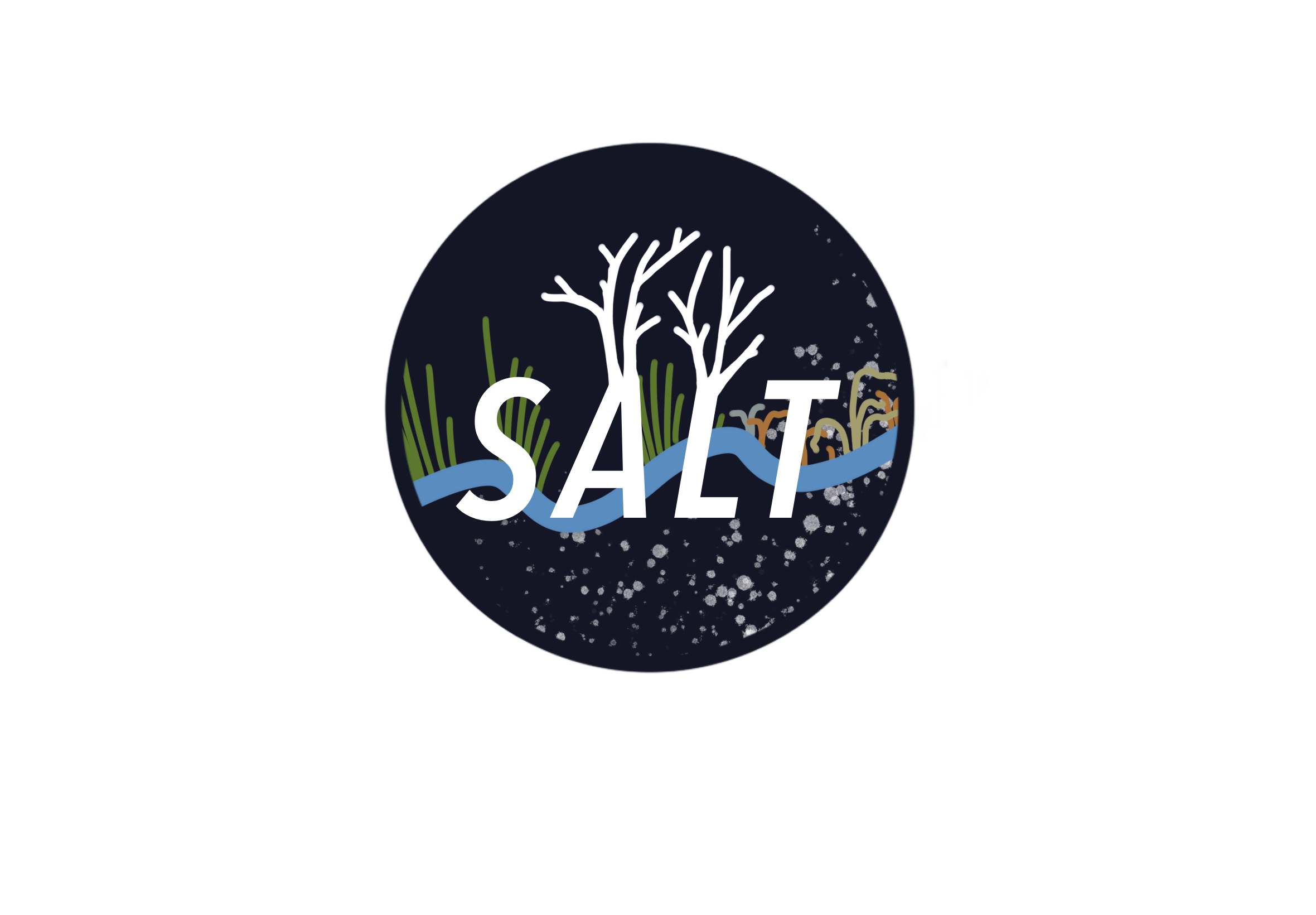 SALT_Logo.PNG